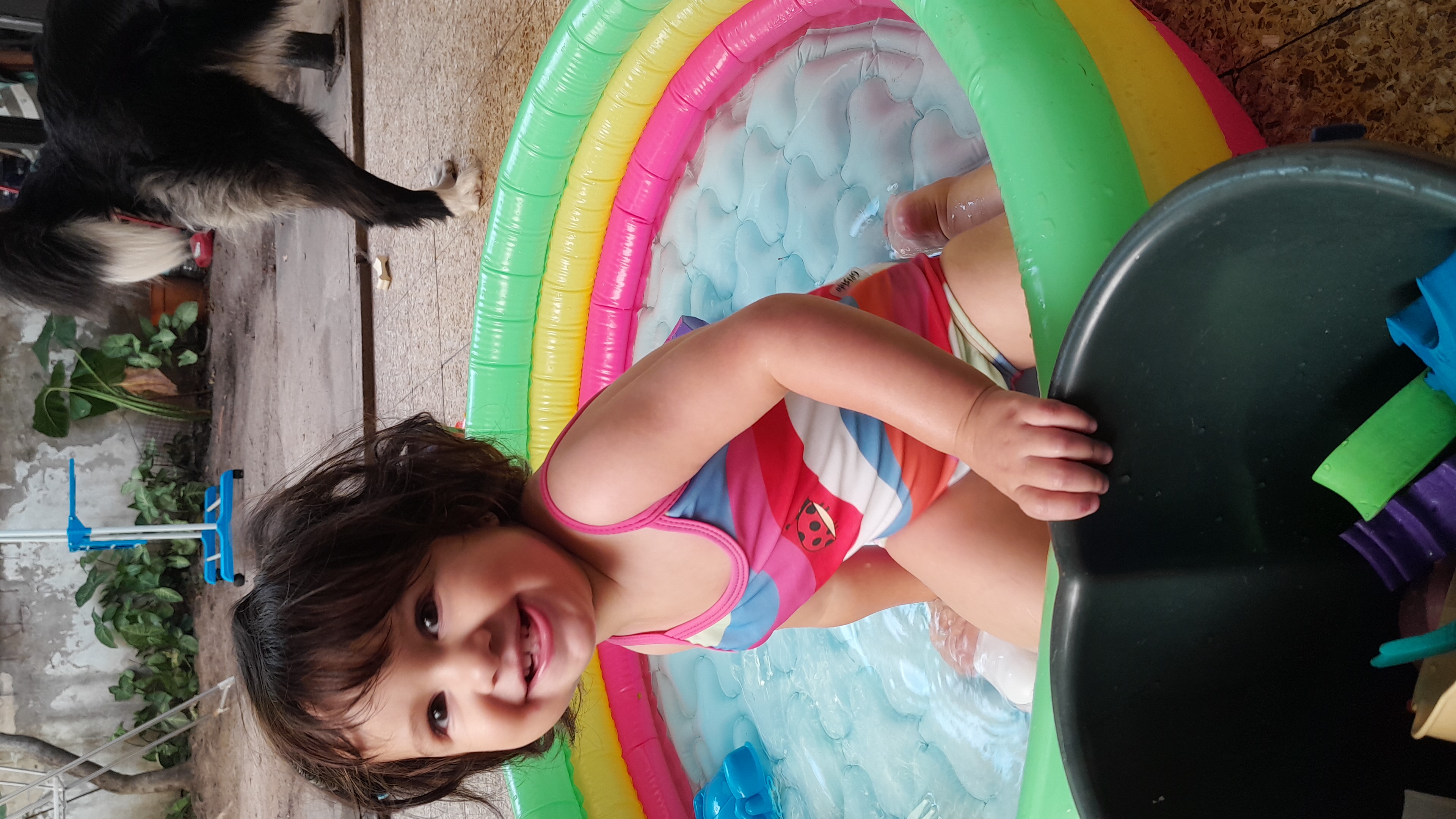 IMG-20251217-WA0036.jpeg