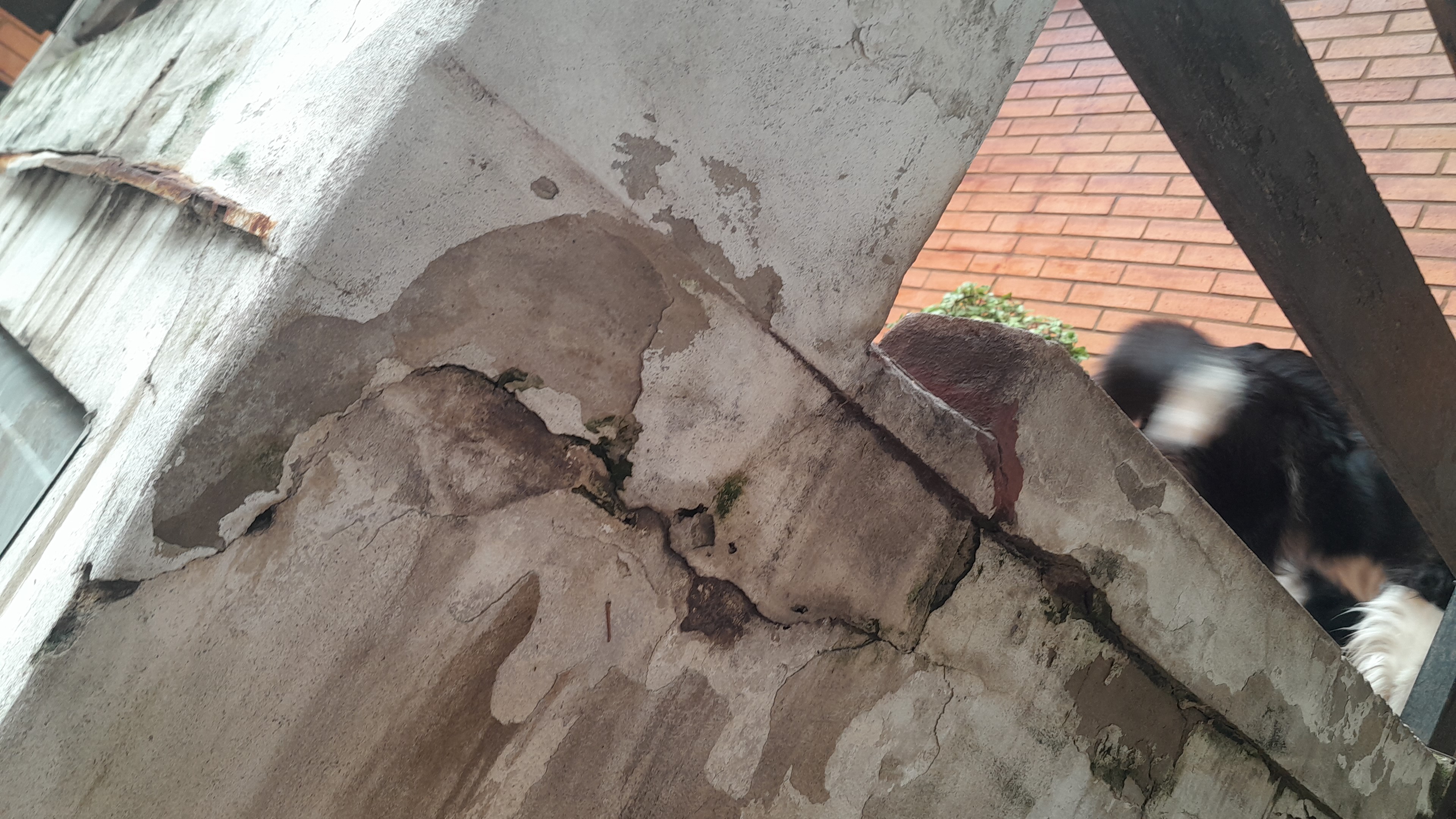 IMG-20251222-WA0068.jpeg