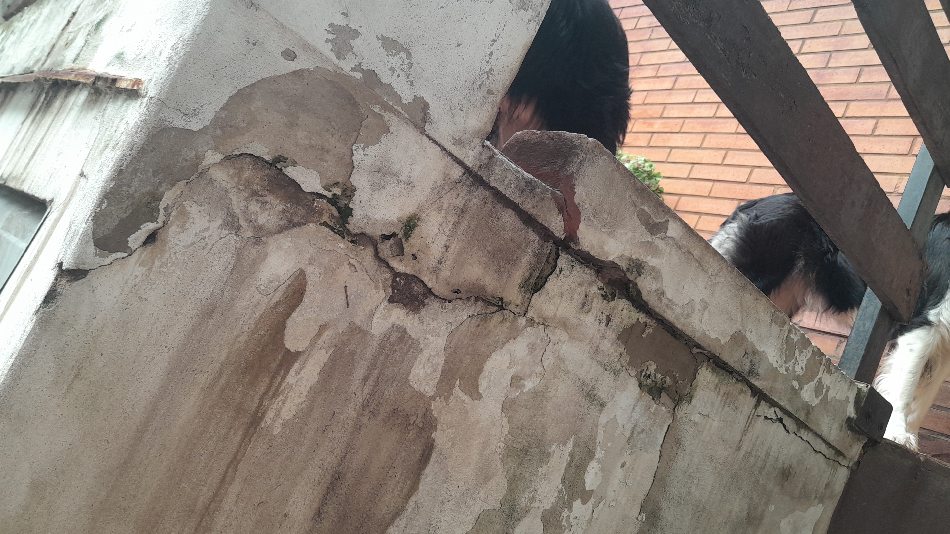 IMG-20251222-WA0070.jpeg