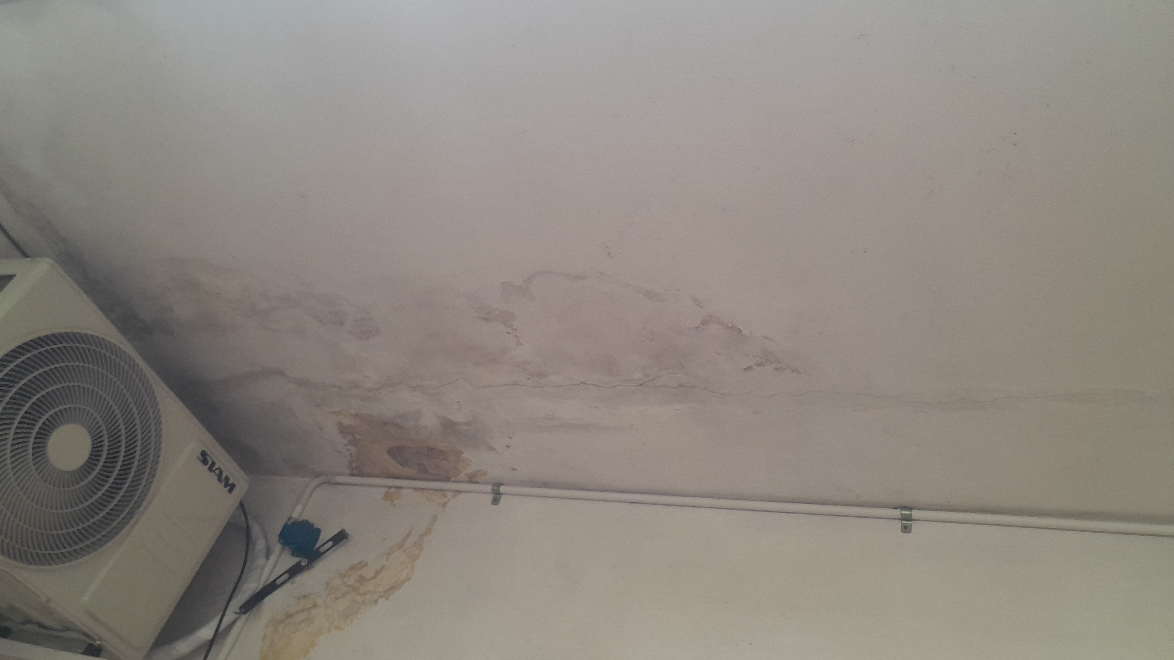 IMG-20251222-WA0072.jpeg