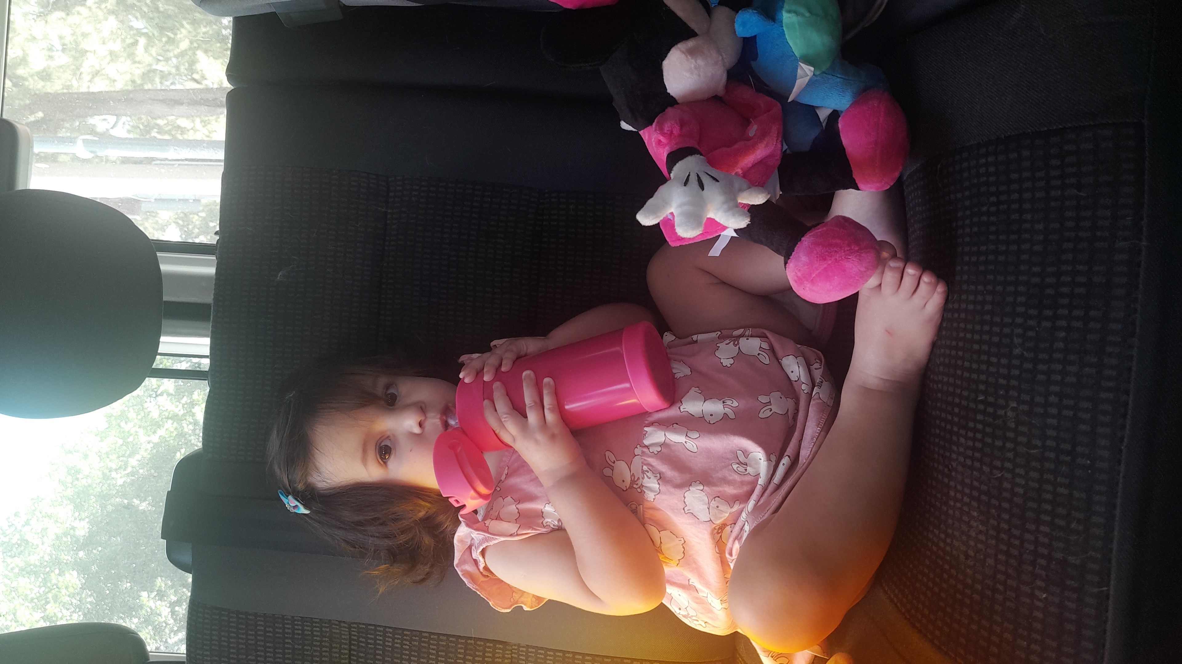 IMG-20251229-WA0043.jpeg