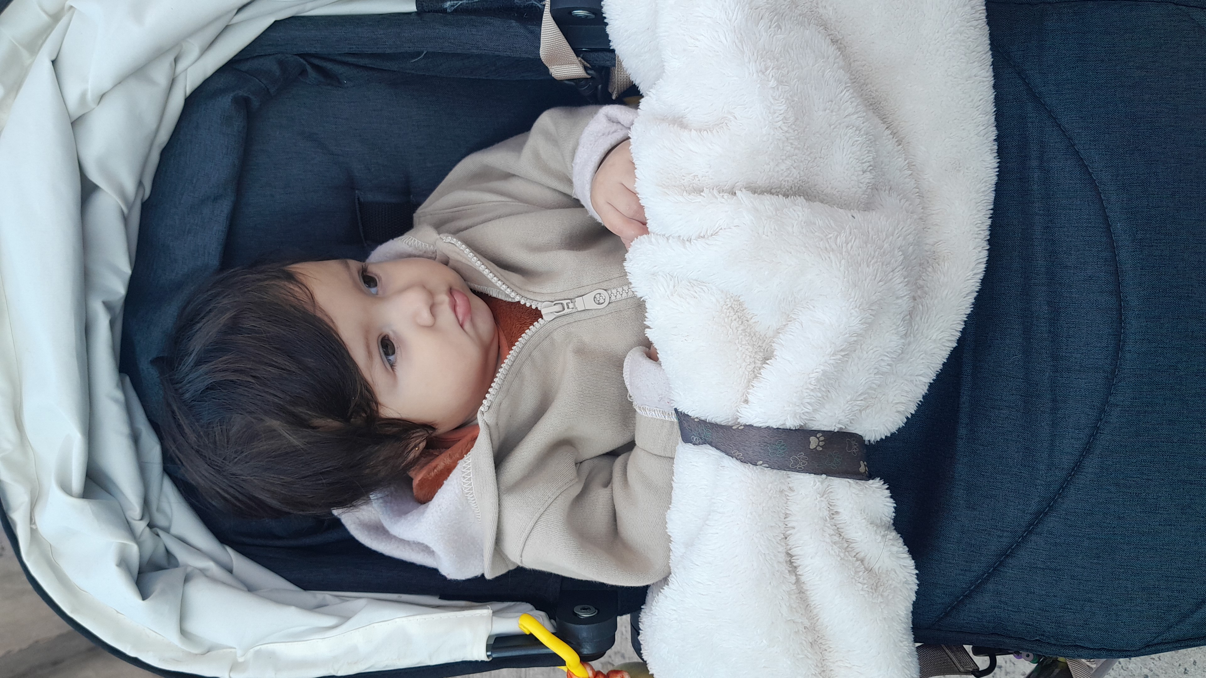 IMG-20250712-WA0033.jpeg