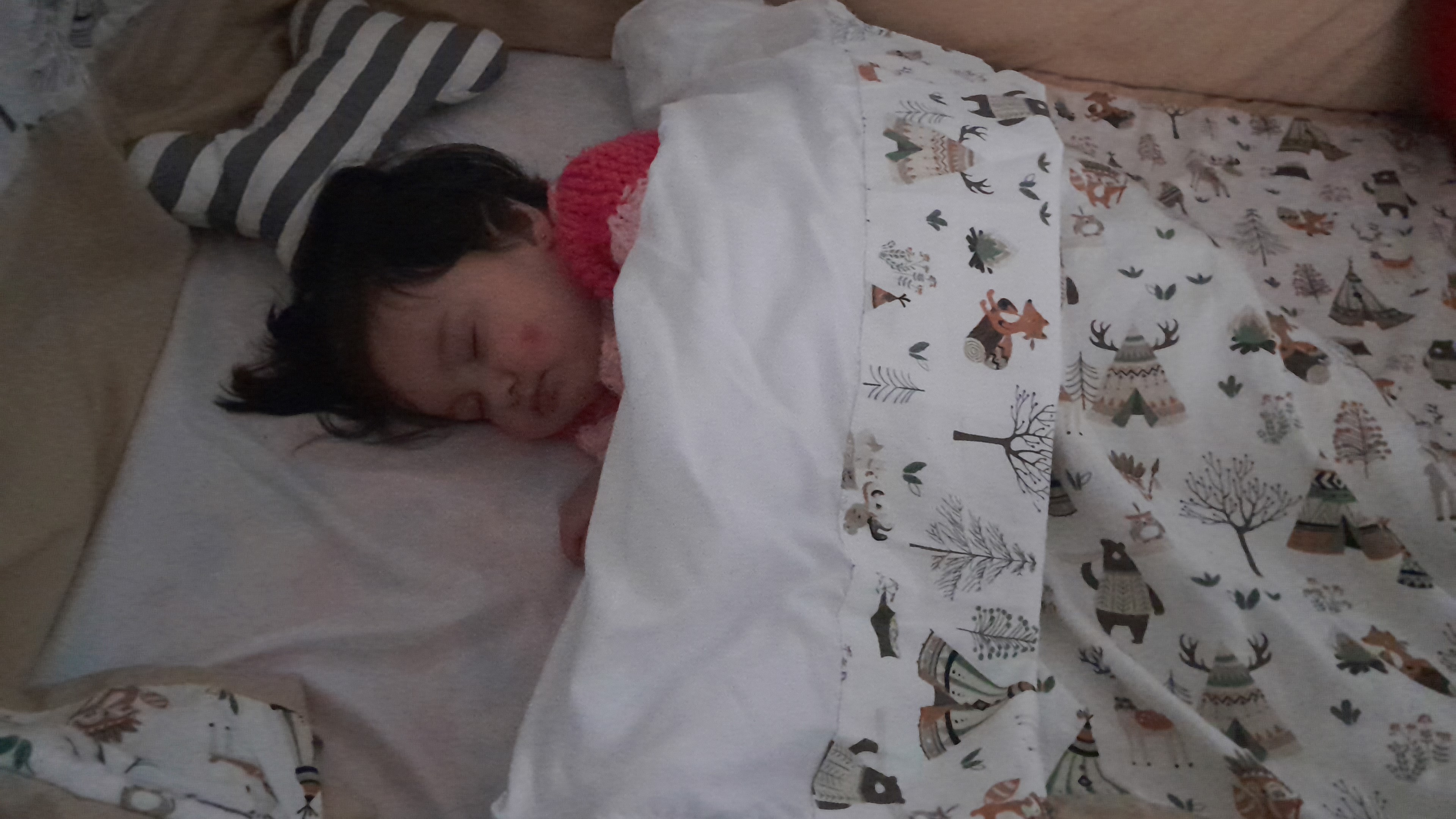 IMG-20250726-WA0011.jpeg