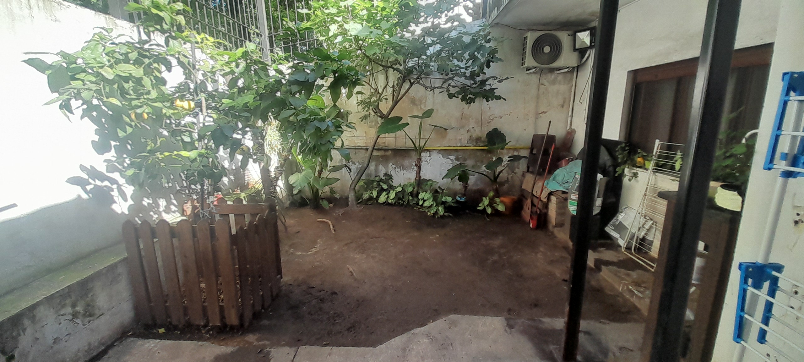 20251111_155135.jpg