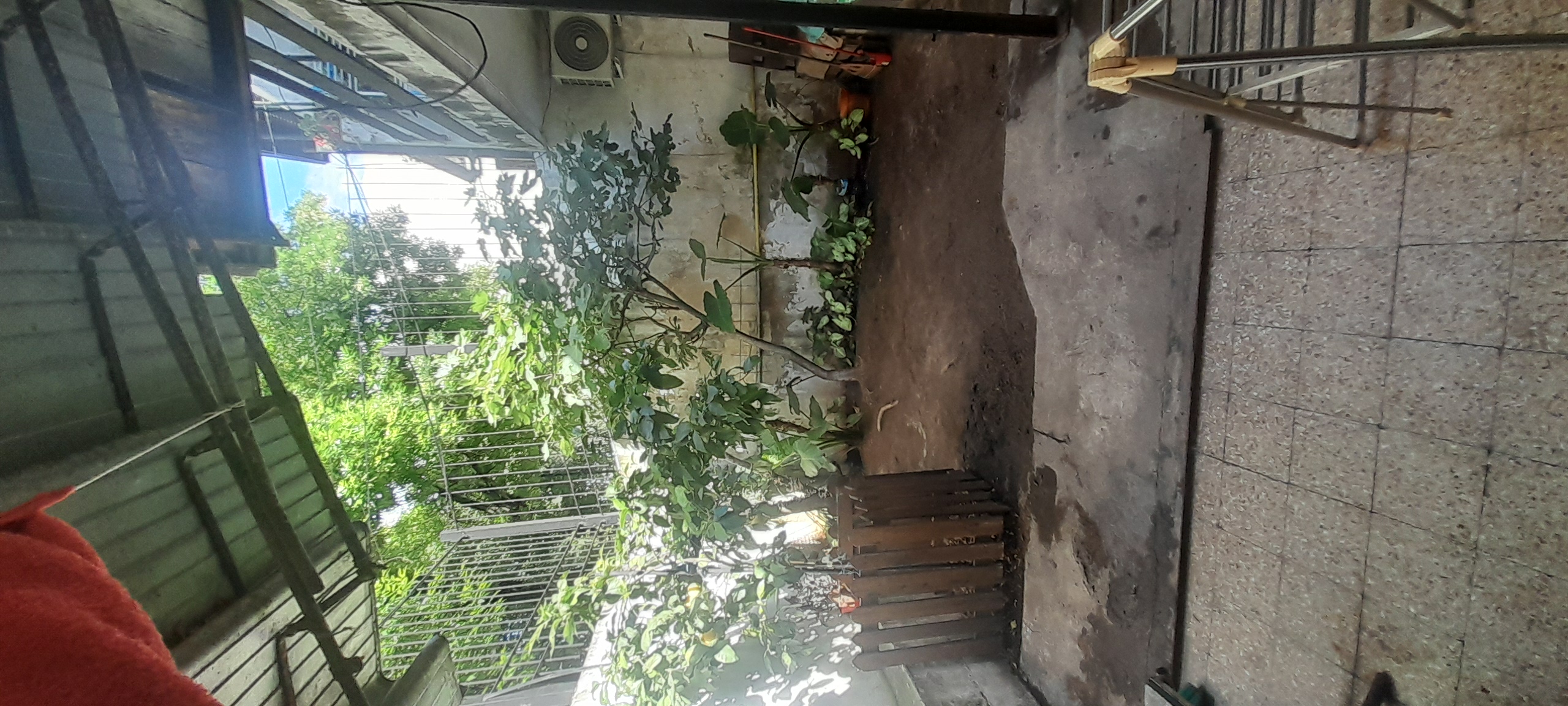 20251111_155144.jpg