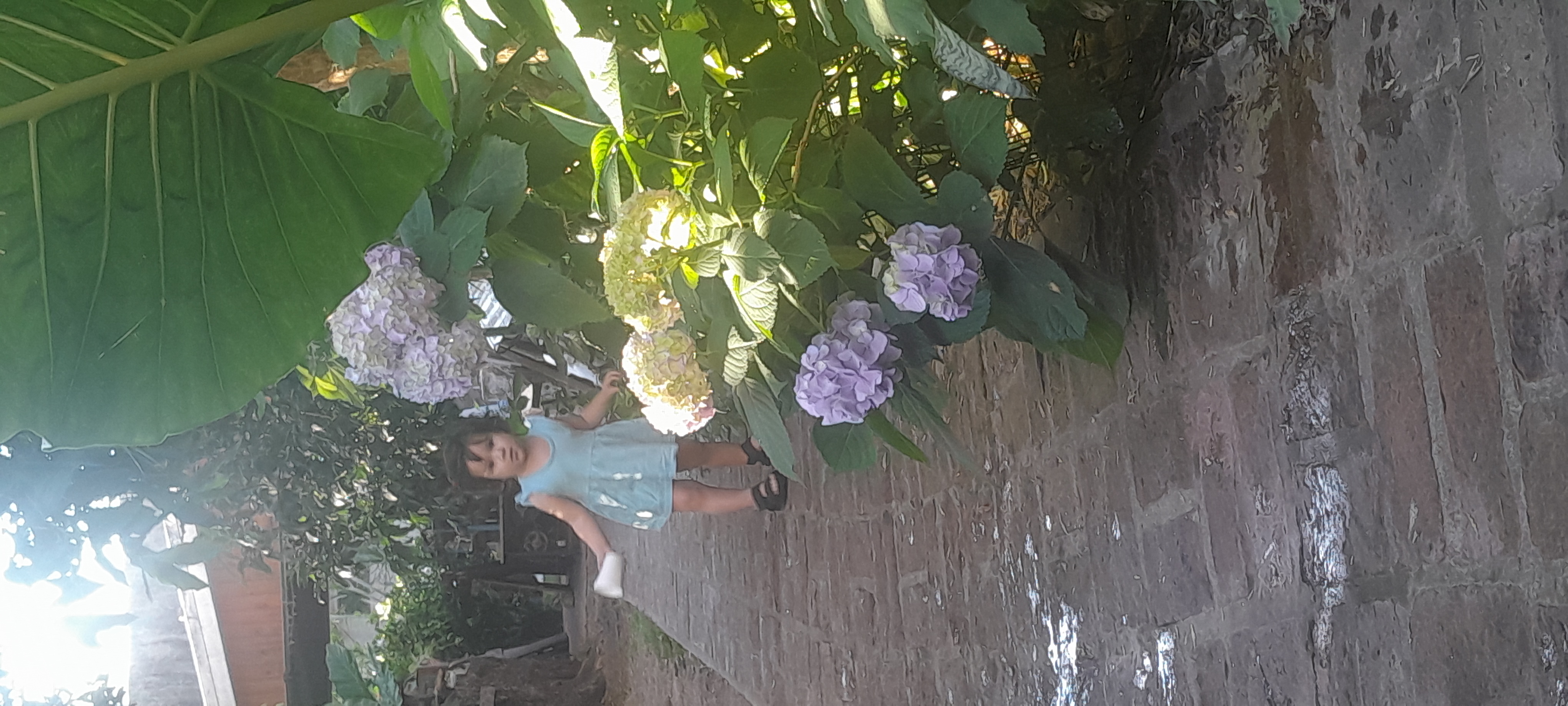 20251112_174927.jpg