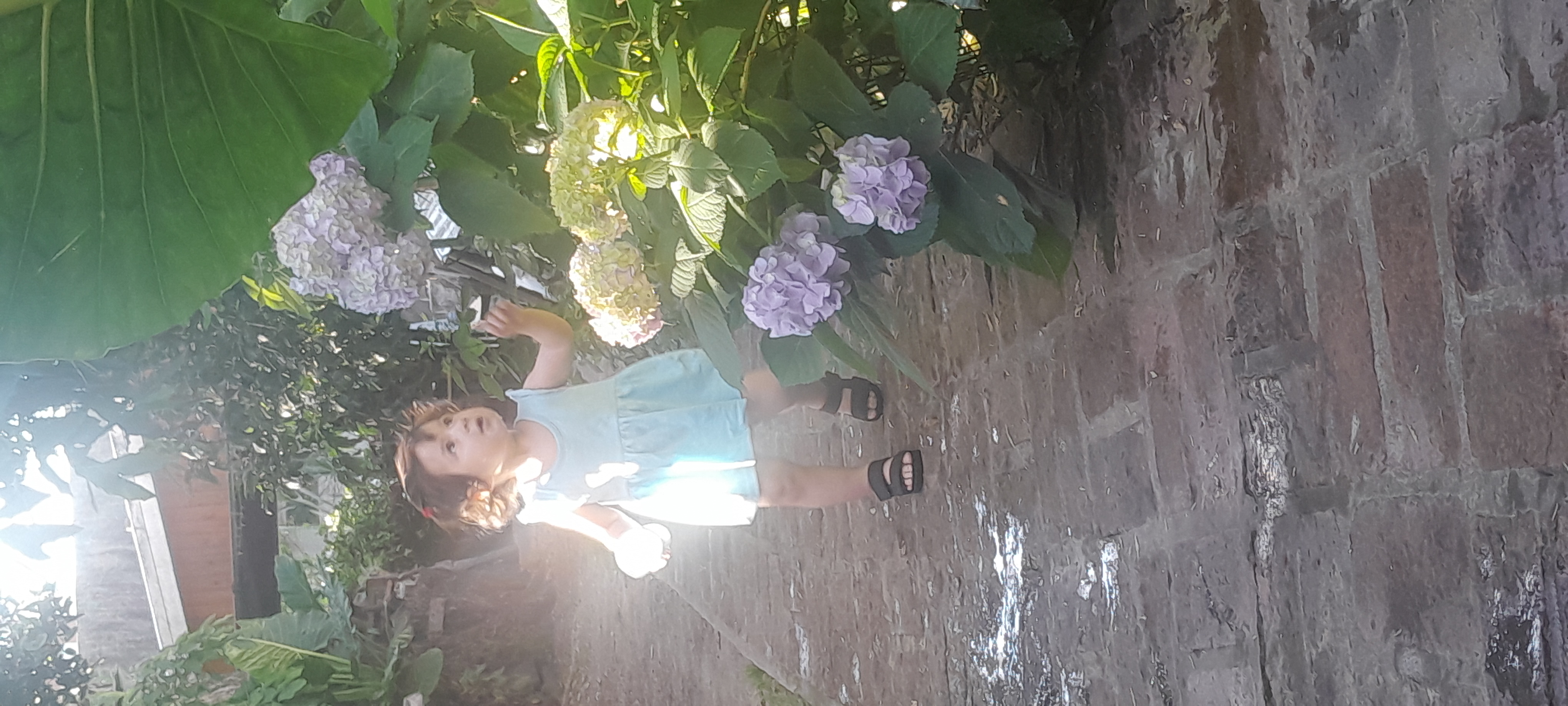 20251112_174929.jpg