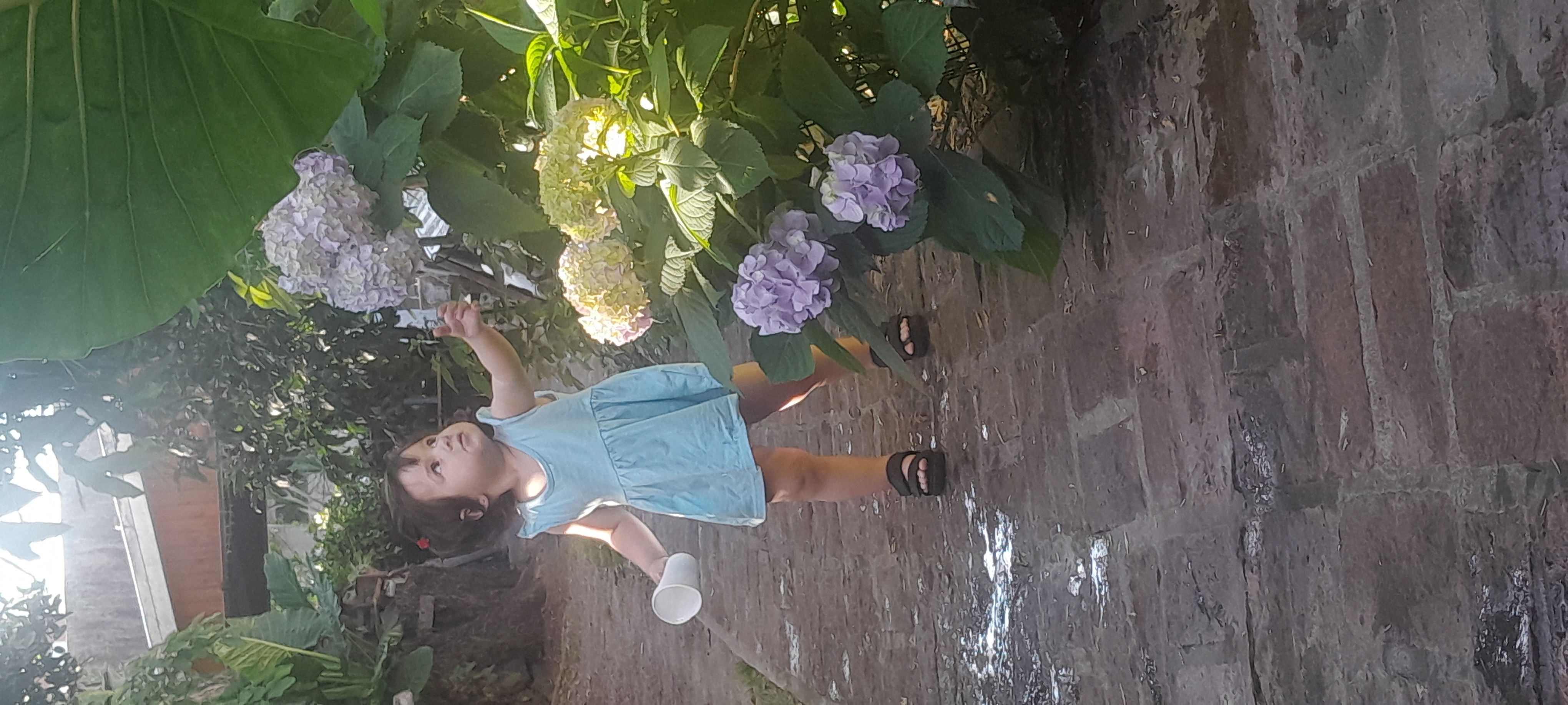 20251112_174931.jpg
