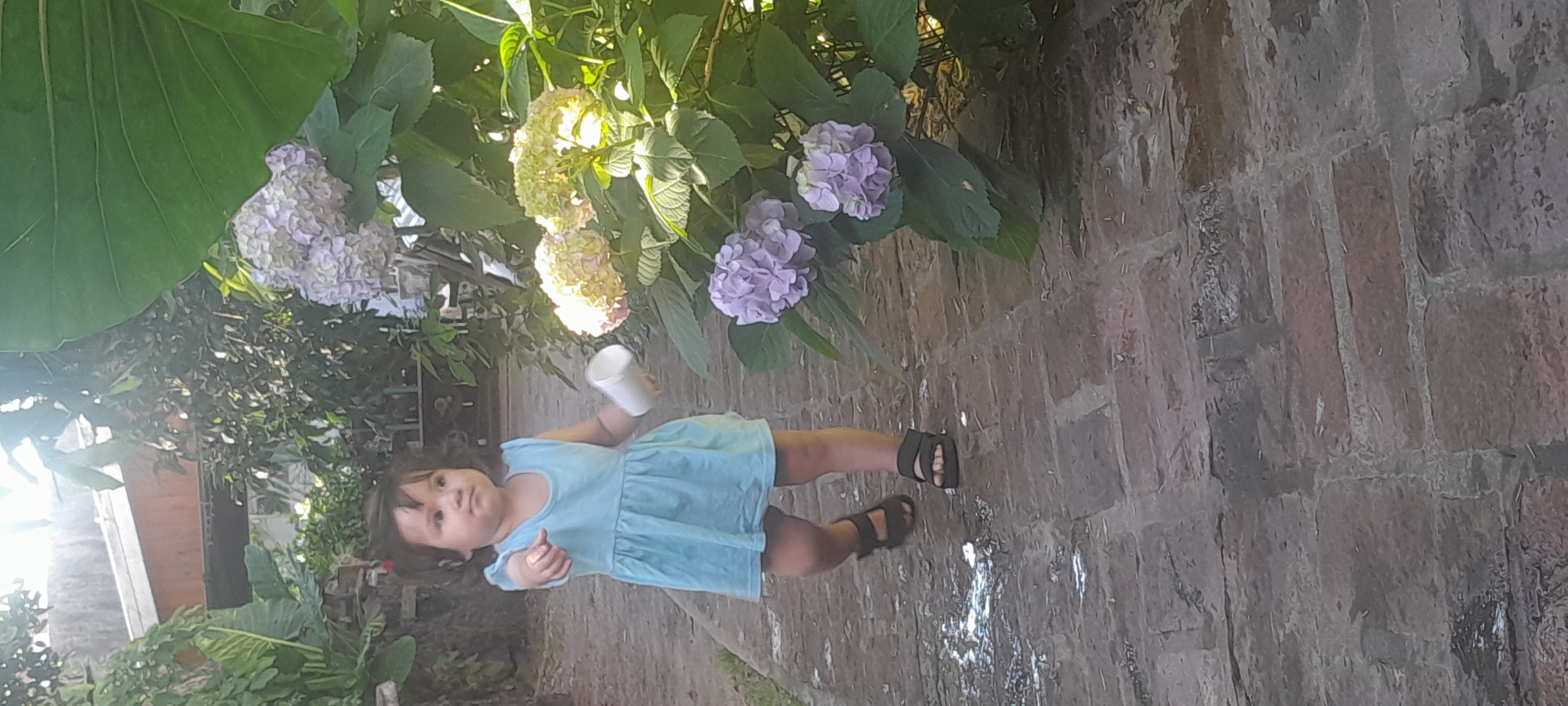 20251112_174947.jpg