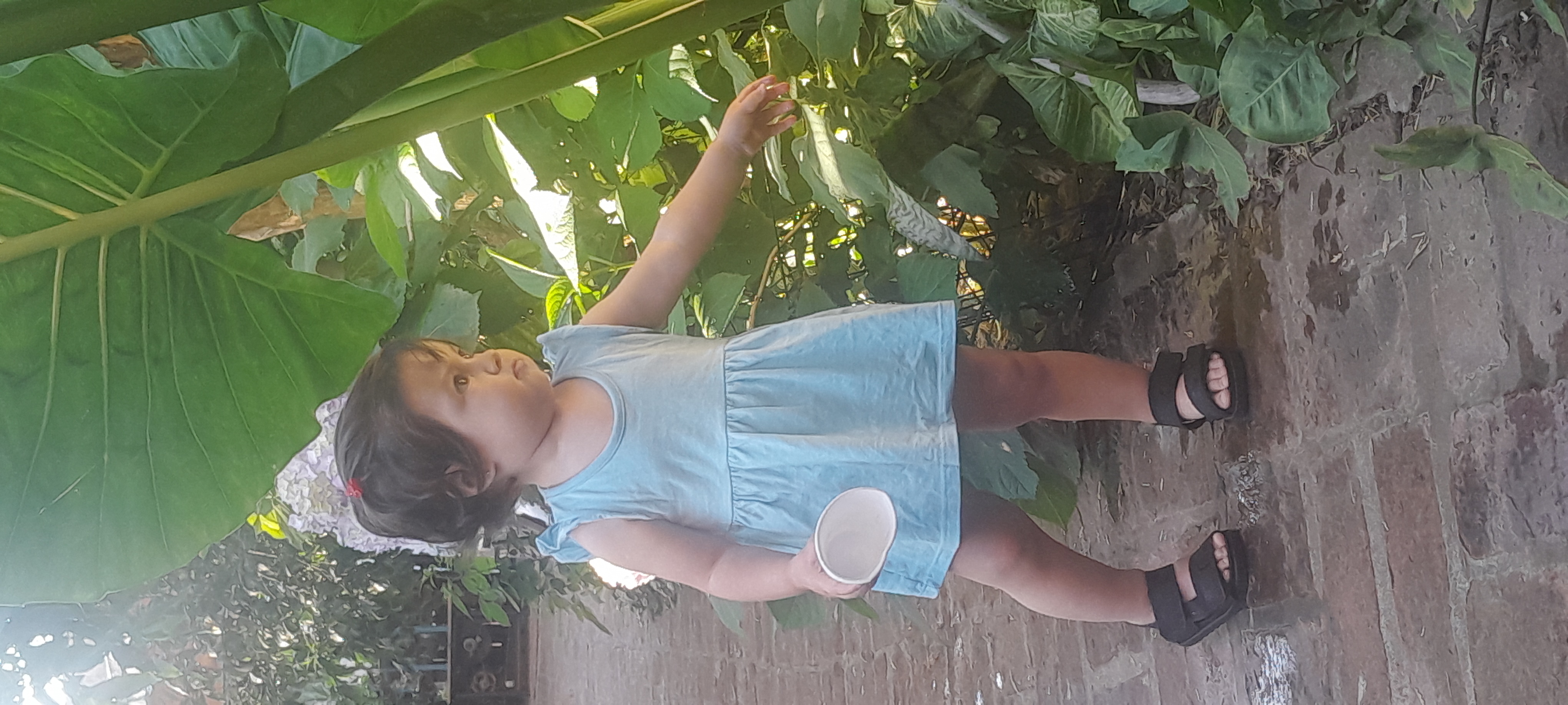 20251112_174956.jpg