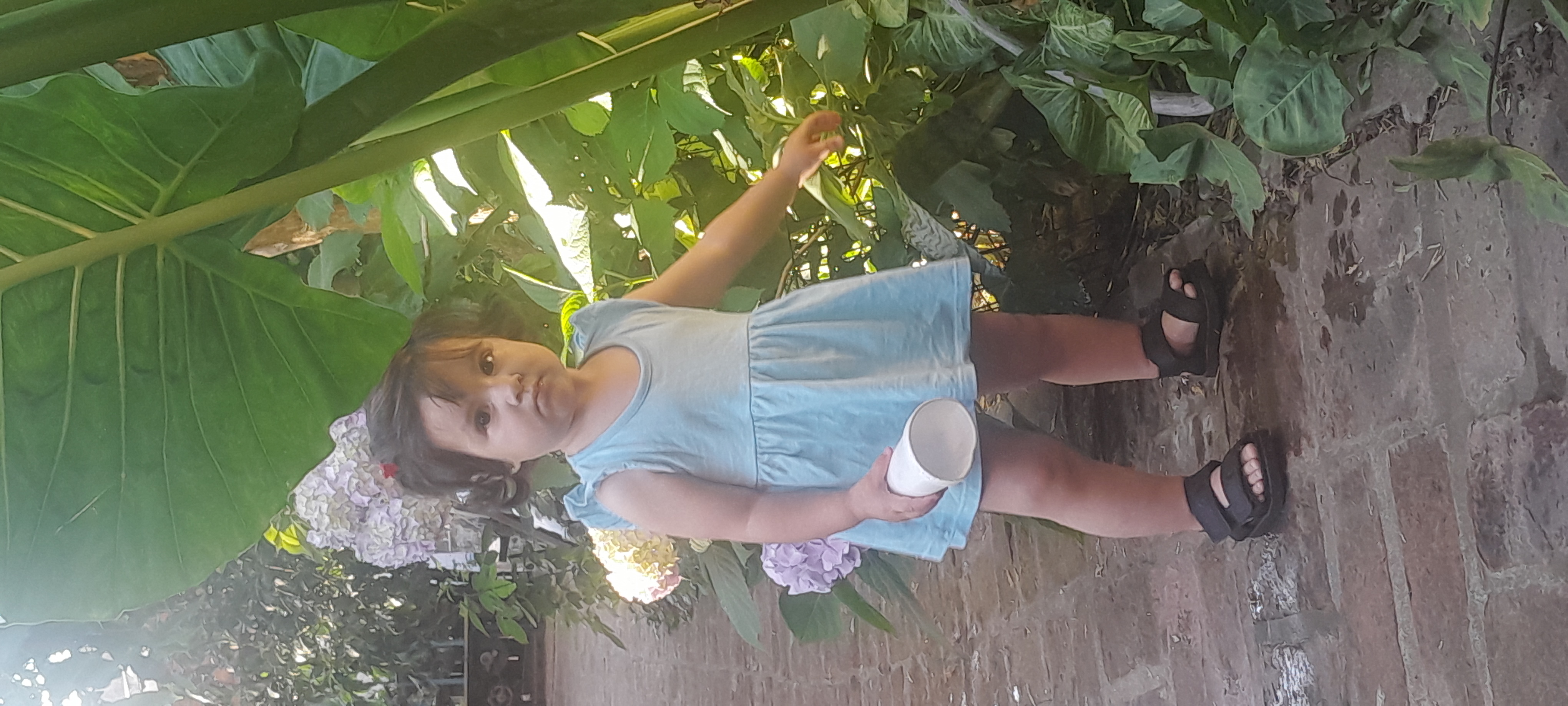 20251112_175000.jpg