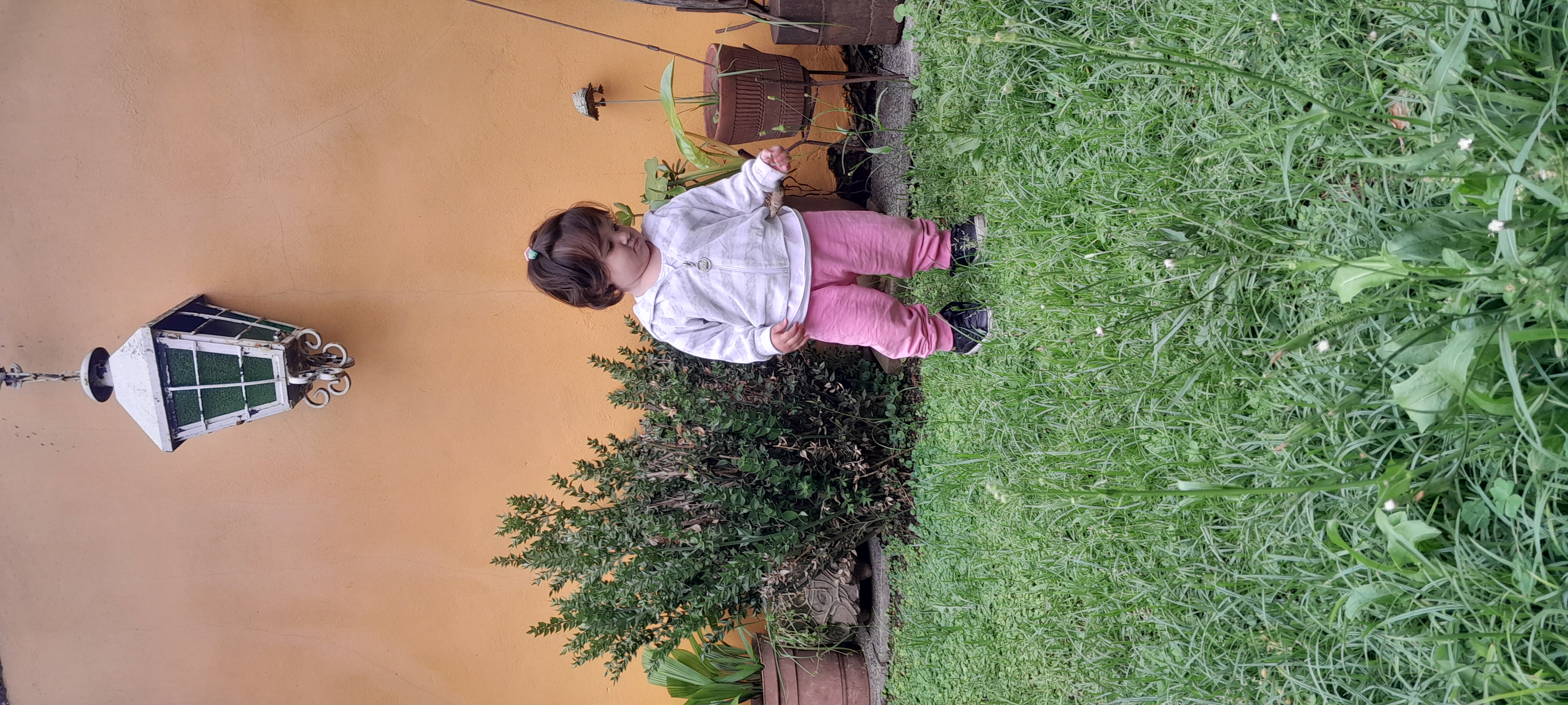 20251121_181142.jpg