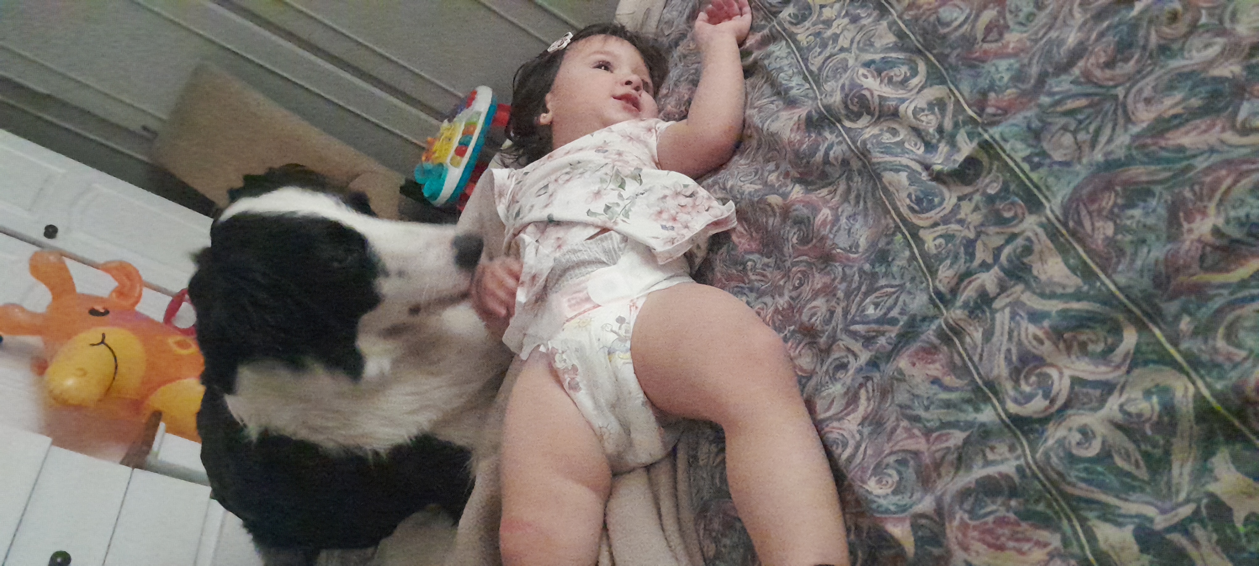 20251125_131616.jpg