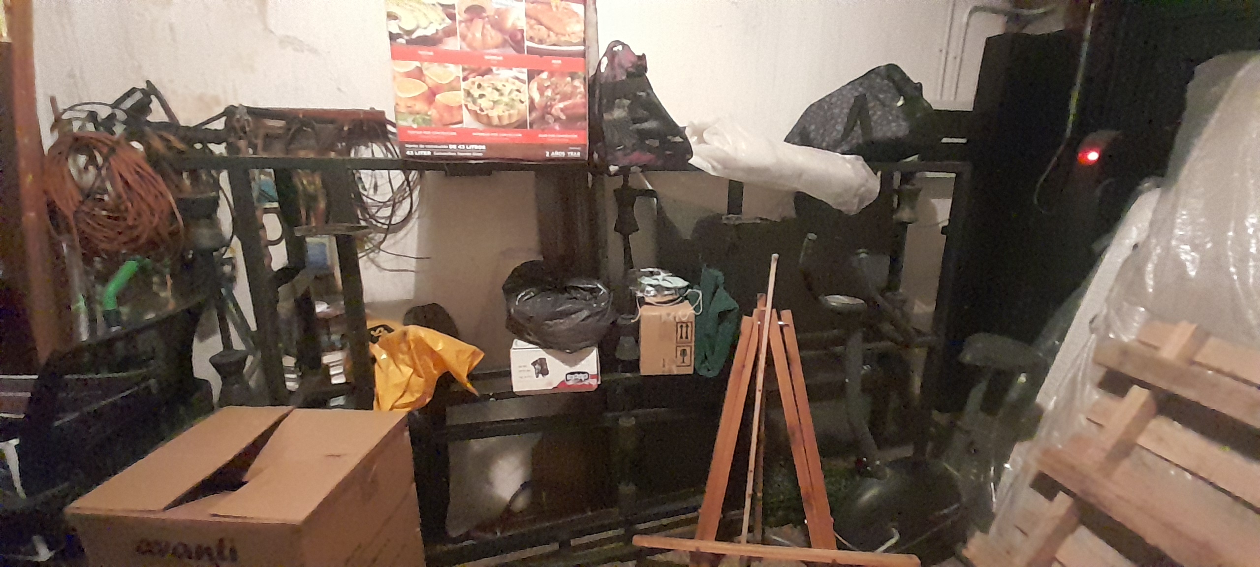 20251130_201559.jpg