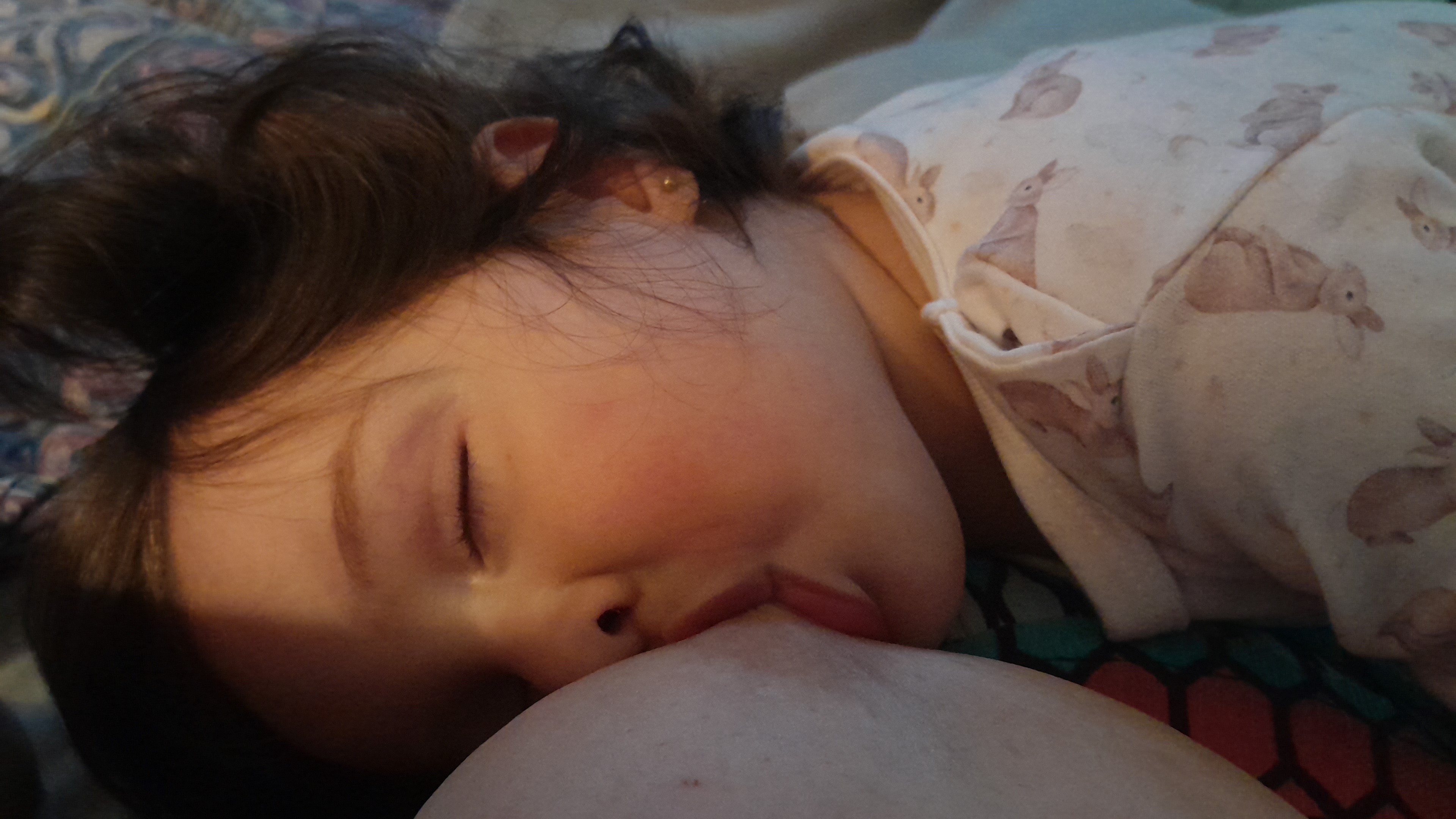 IMG-20251124-WA0006.jpeg