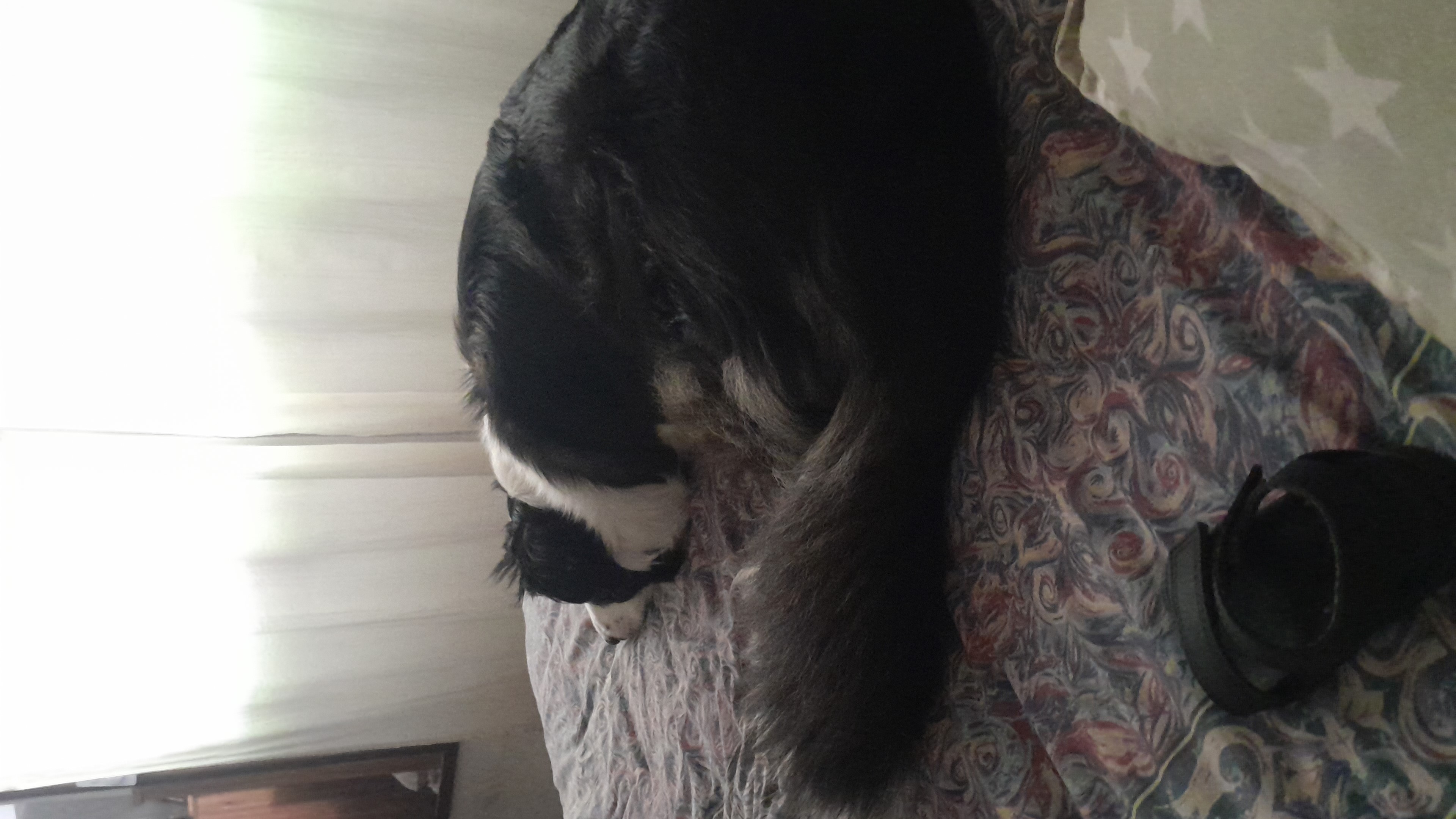 IMG-20251125-WA0051.jpeg