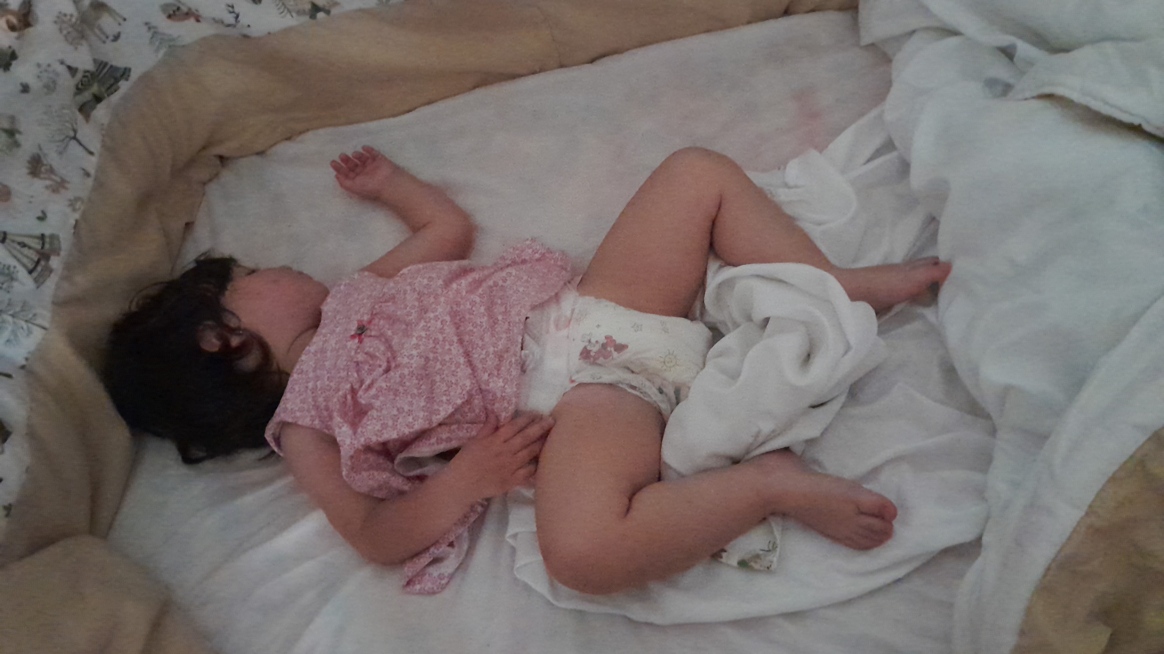 IMG-20251126-WA0043.jpeg