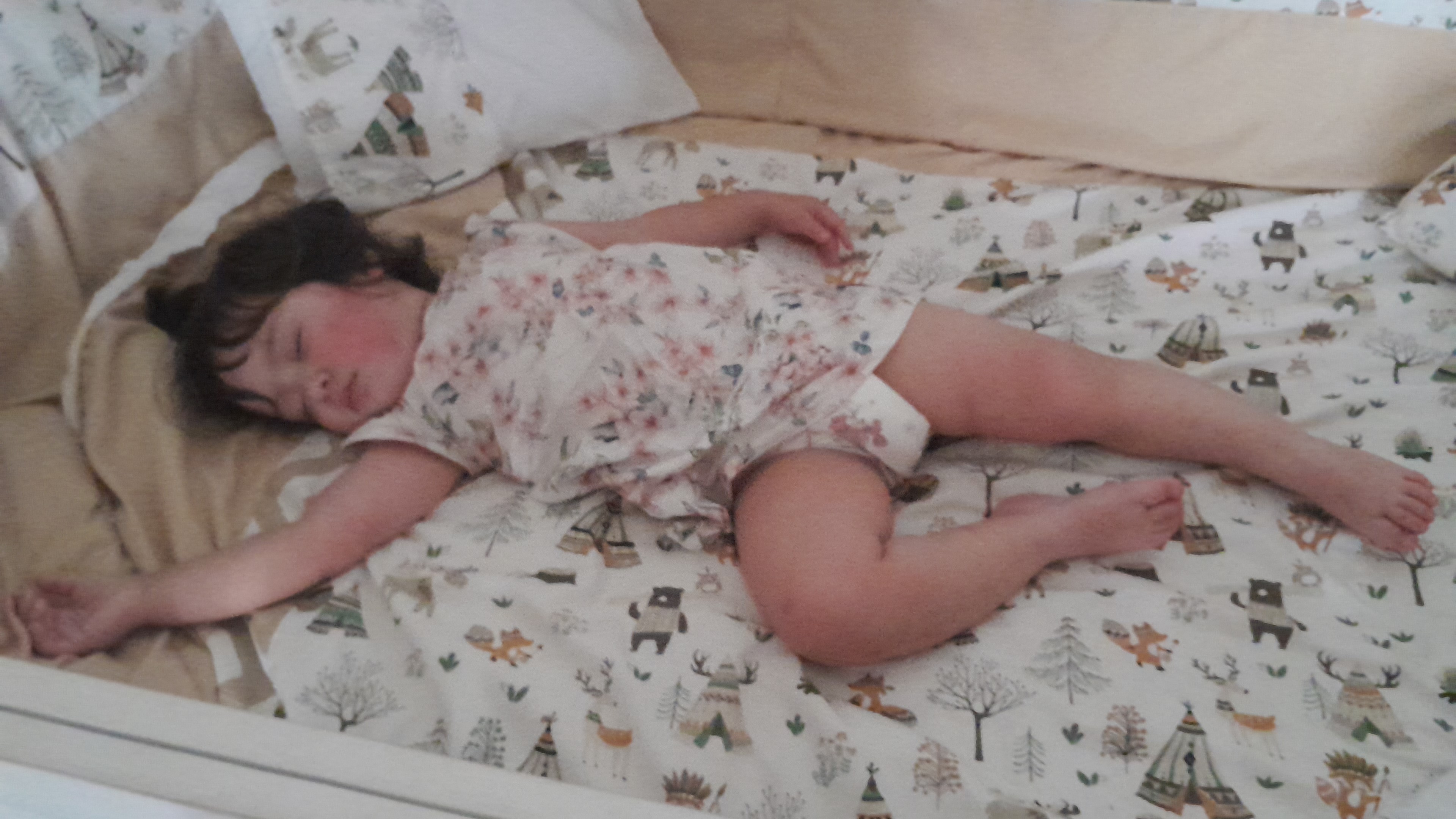 IMG-20251128-WA0067.jpeg