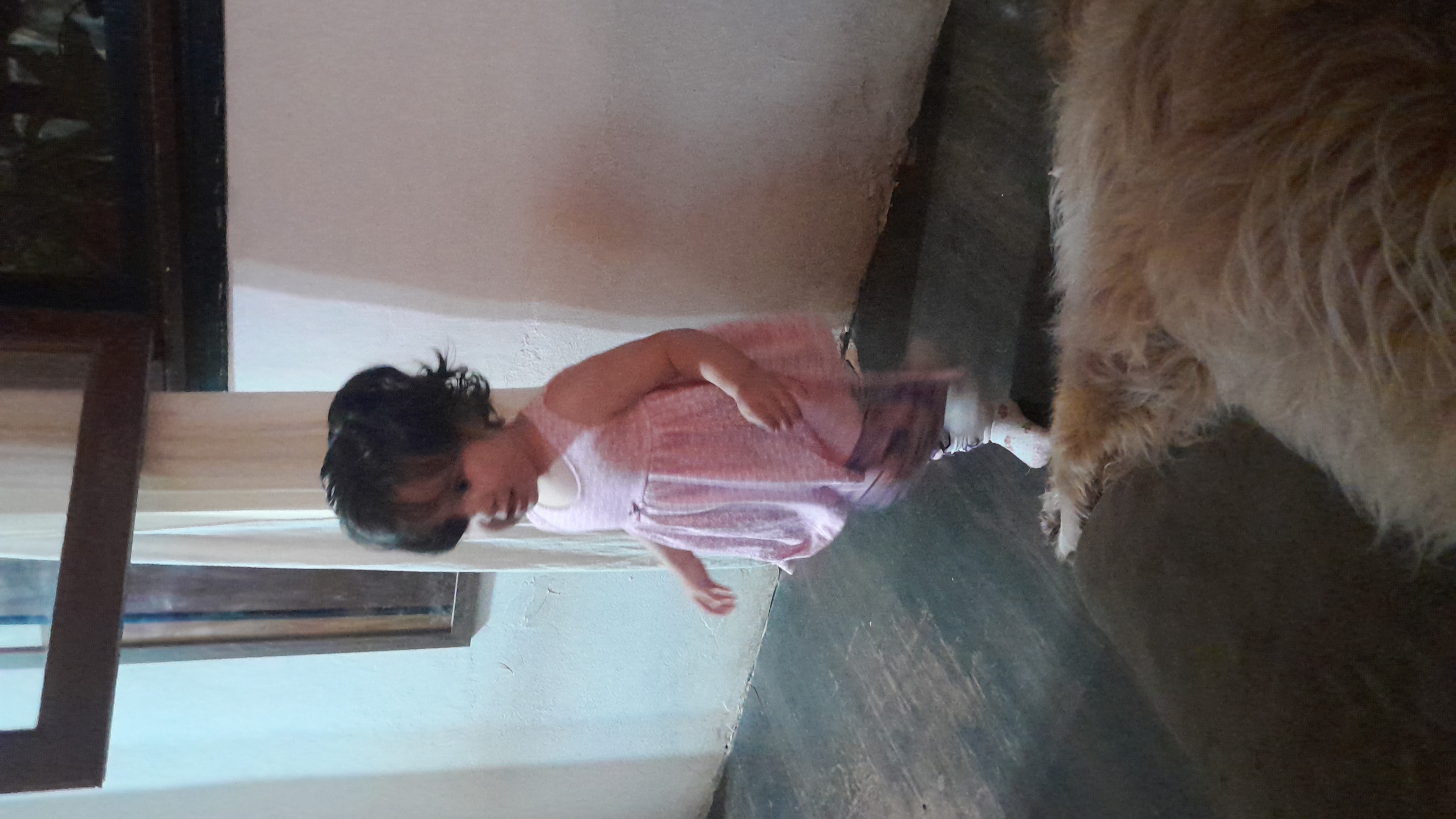 IMG-20251130-WA0036.jpeg