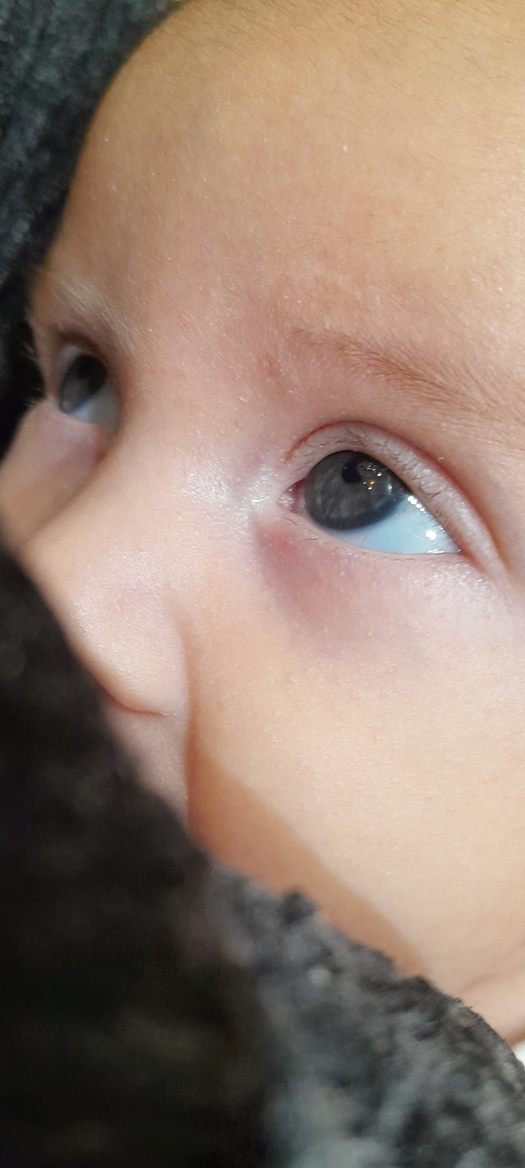 20241002_085023.jpg