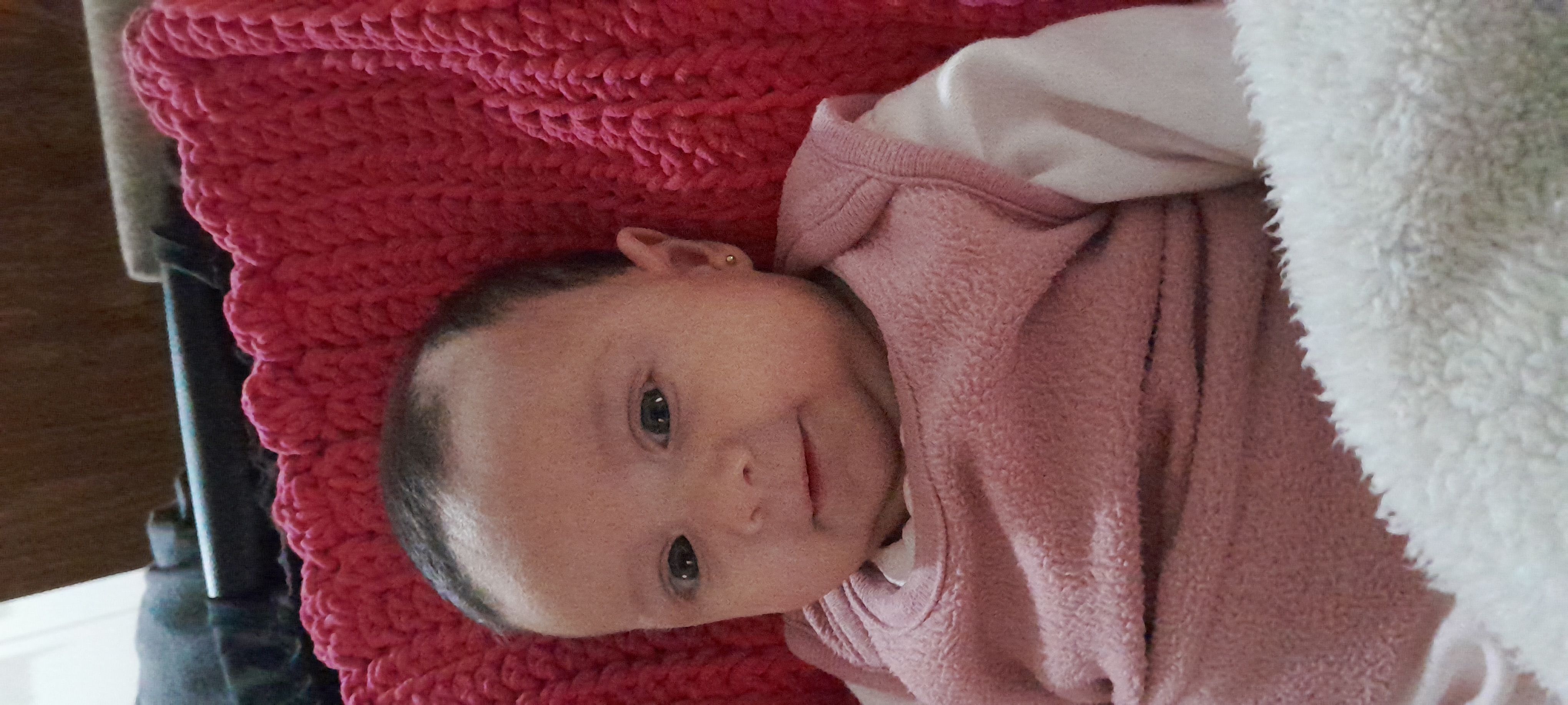 20241003_114717.jpg