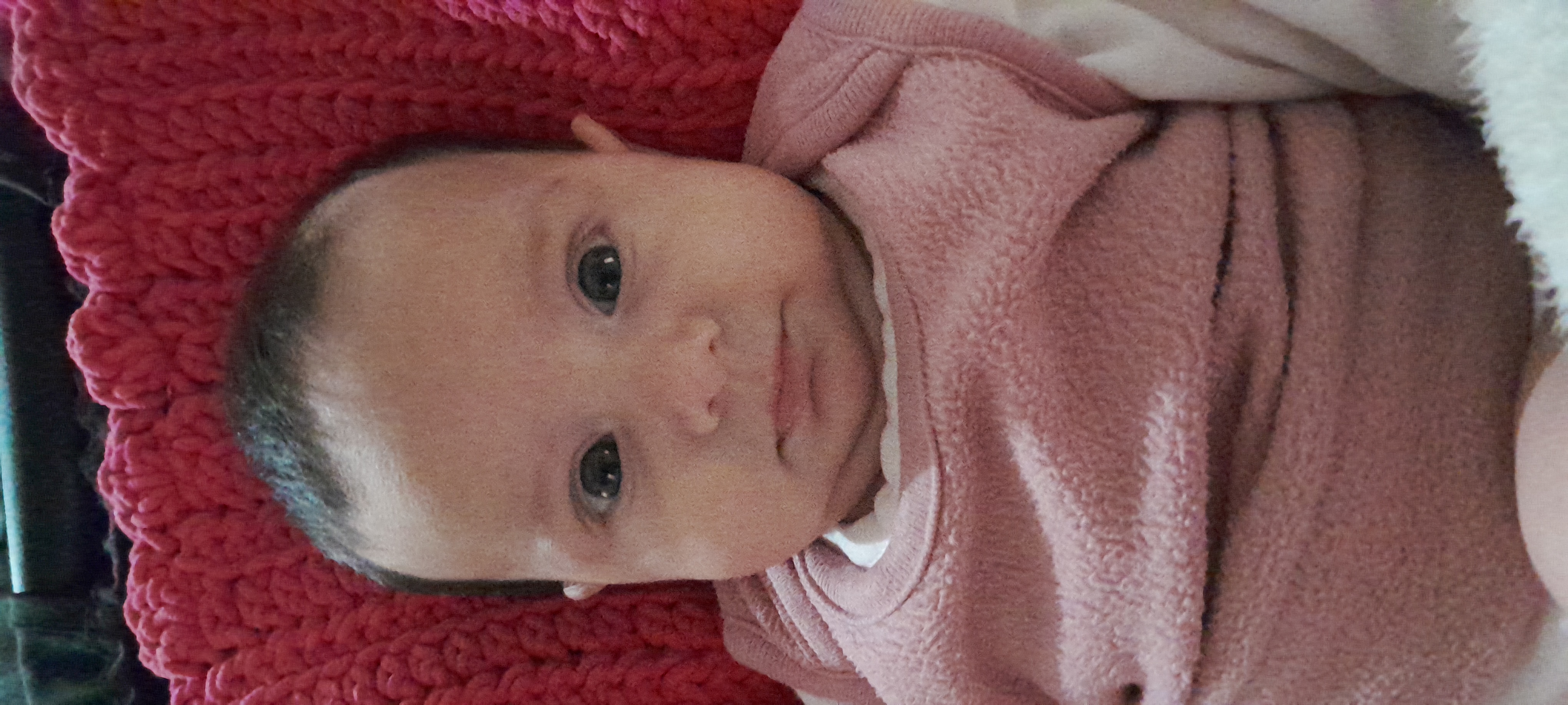 20241003_114720.jpg
