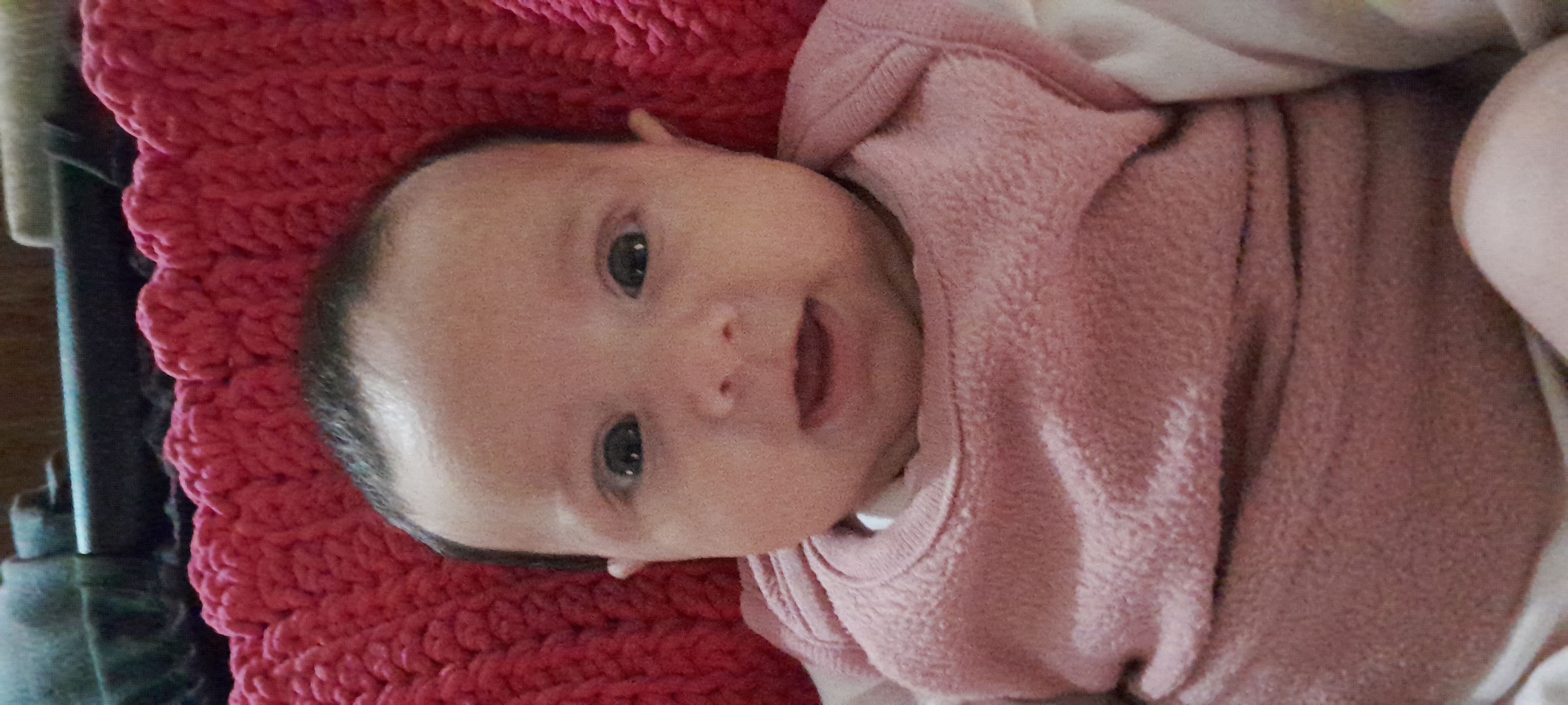 20241003_114728.jpg