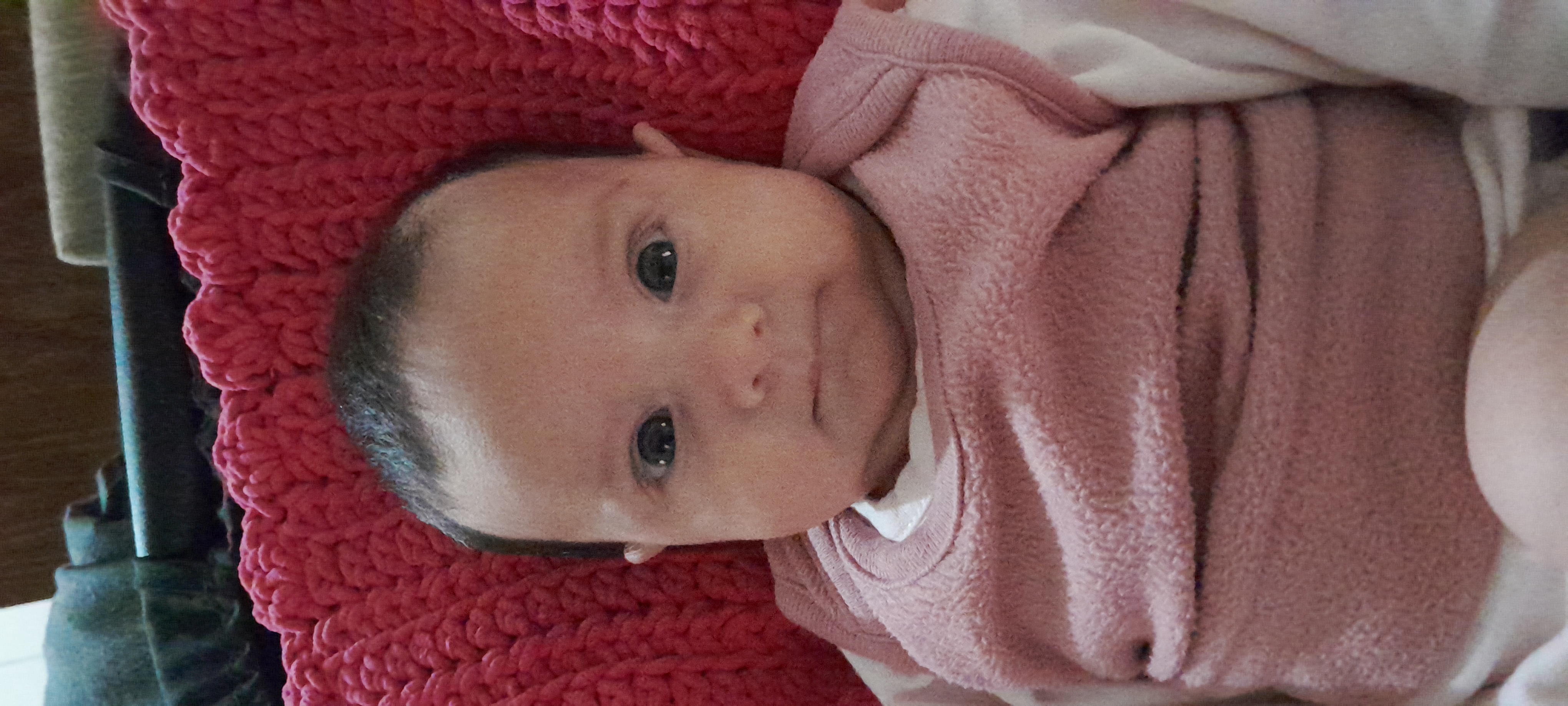 20241003_114738.jpg