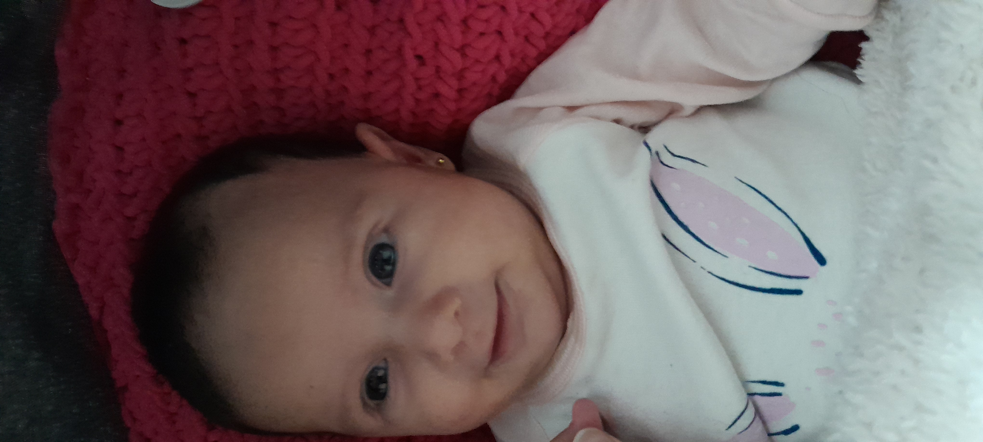 20241008_174447.jpg