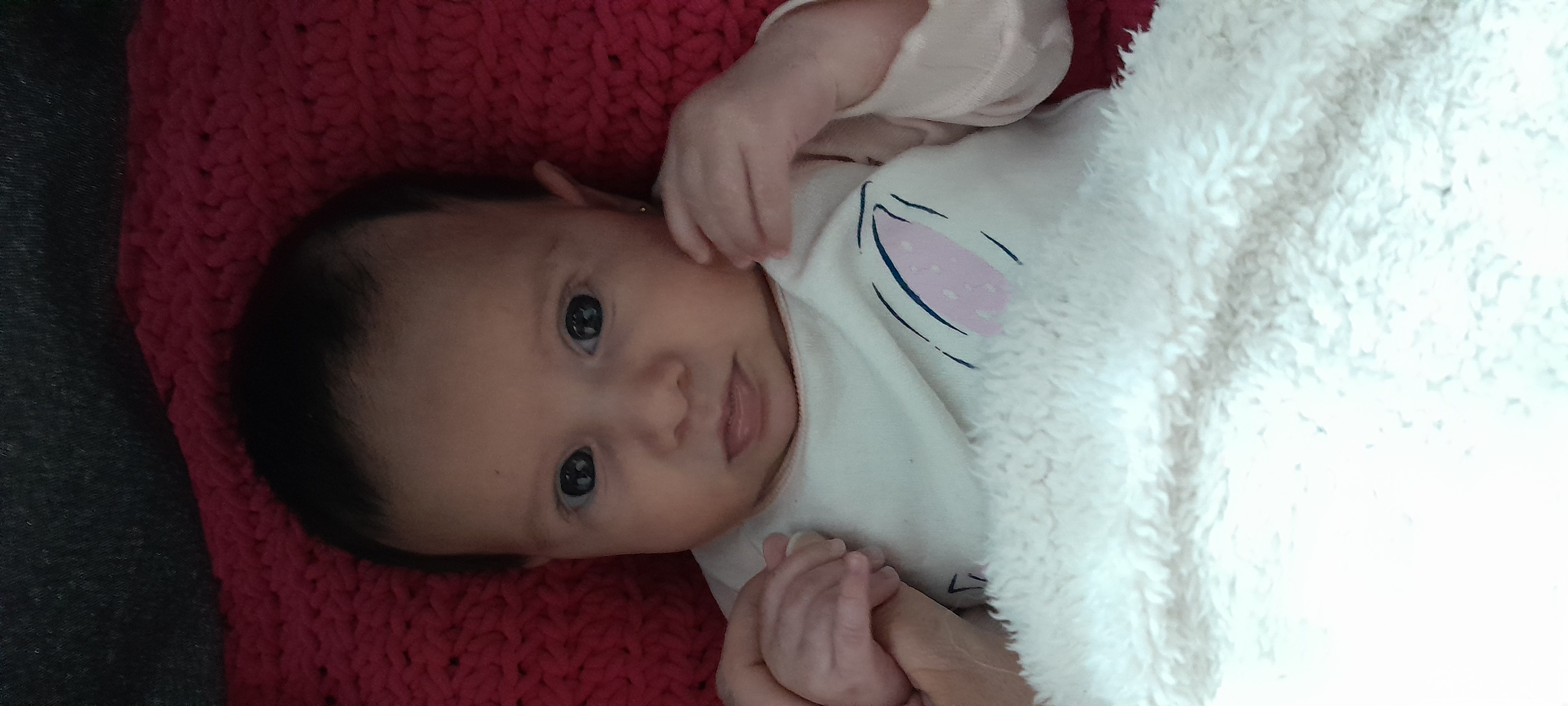 20241008_174508.jpg