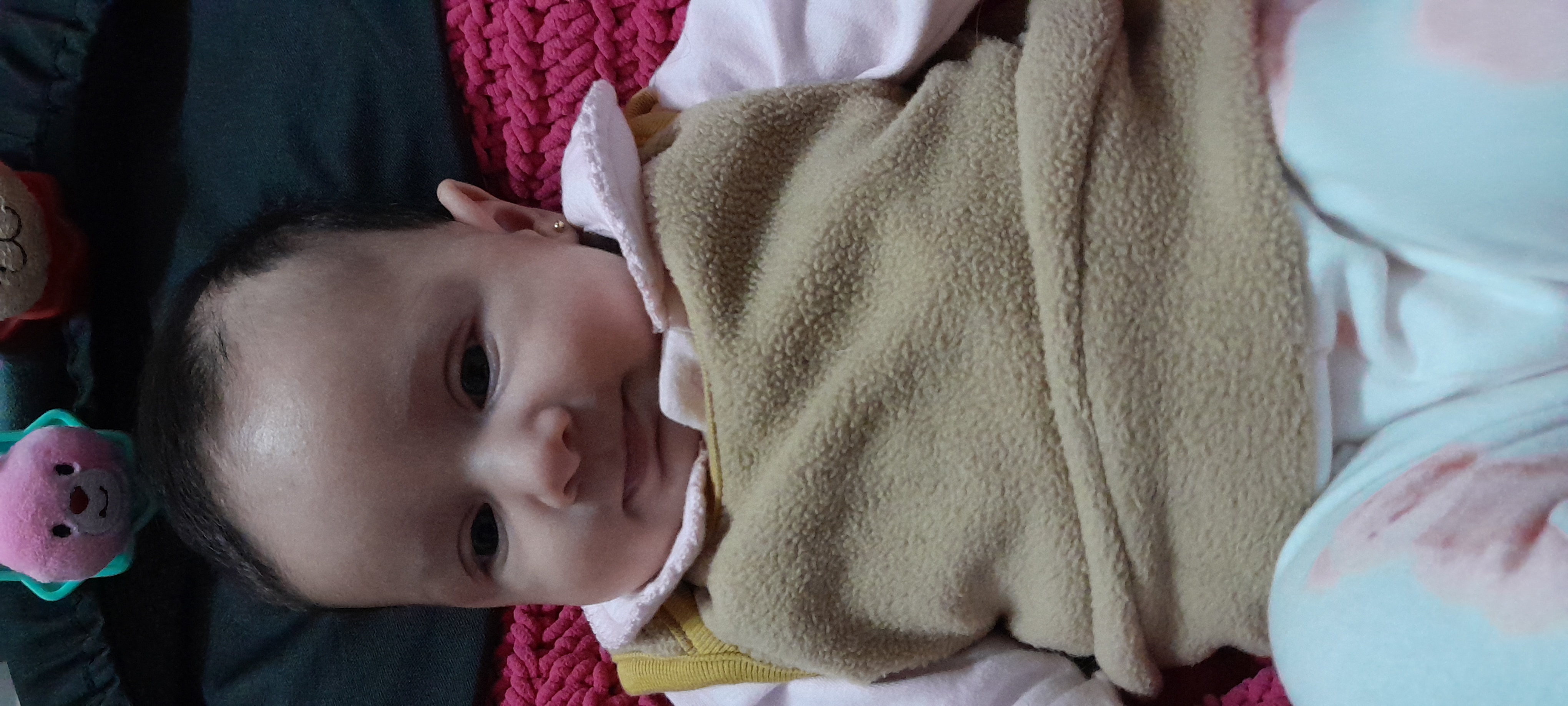 20241009_083326.jpg