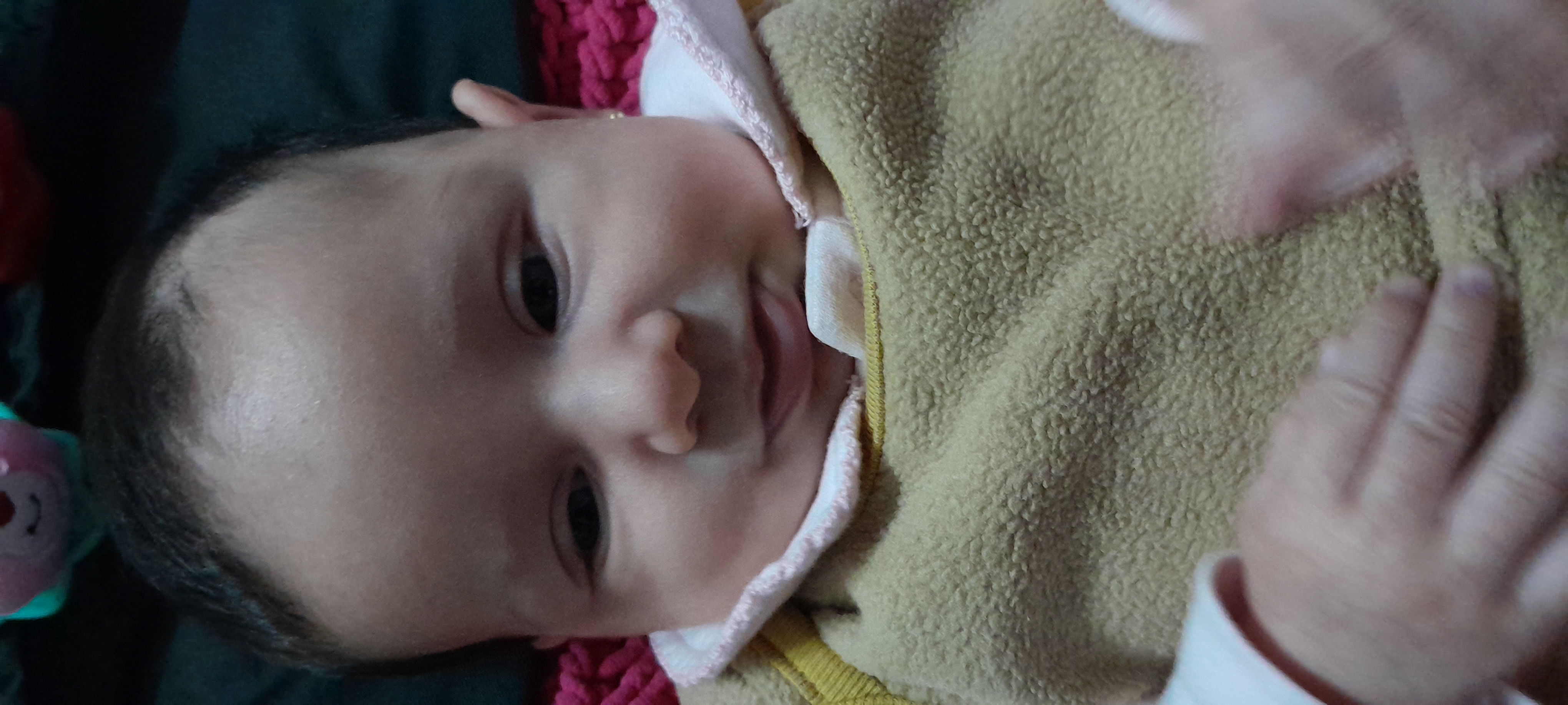 20241009_083351.jpg