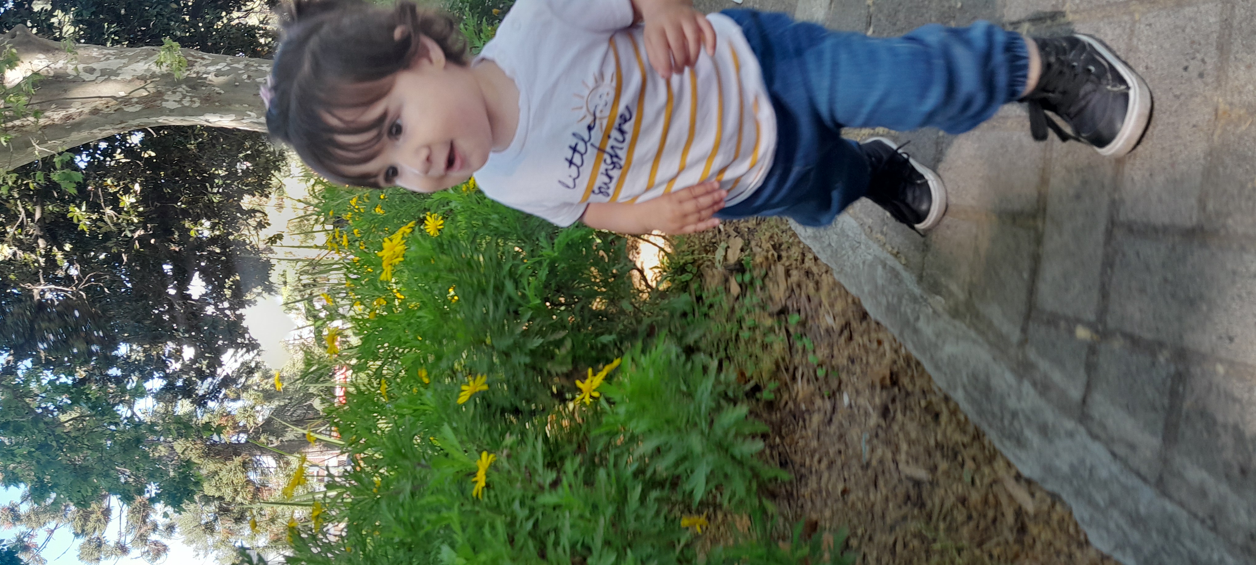 20251008_114439.jpg