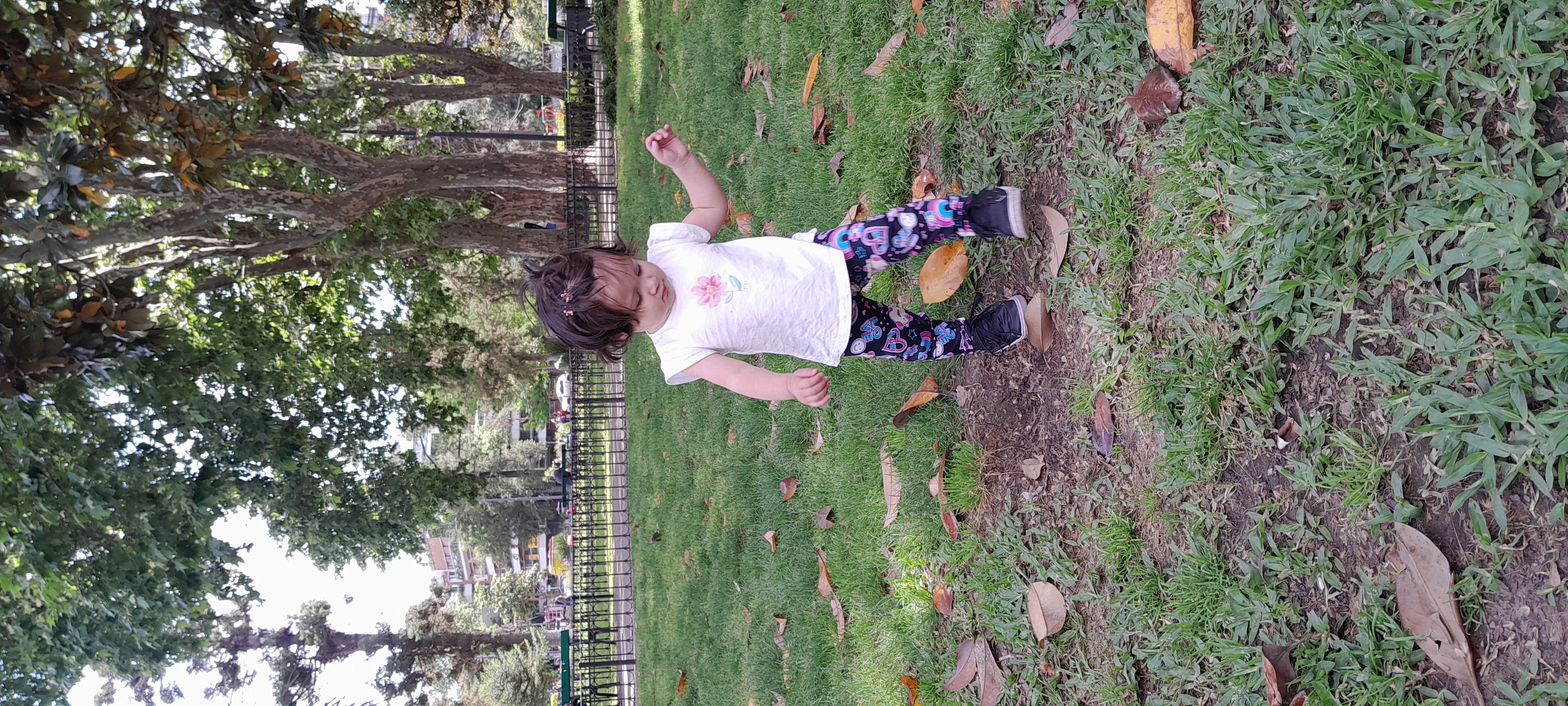 20251015_112919.jpg