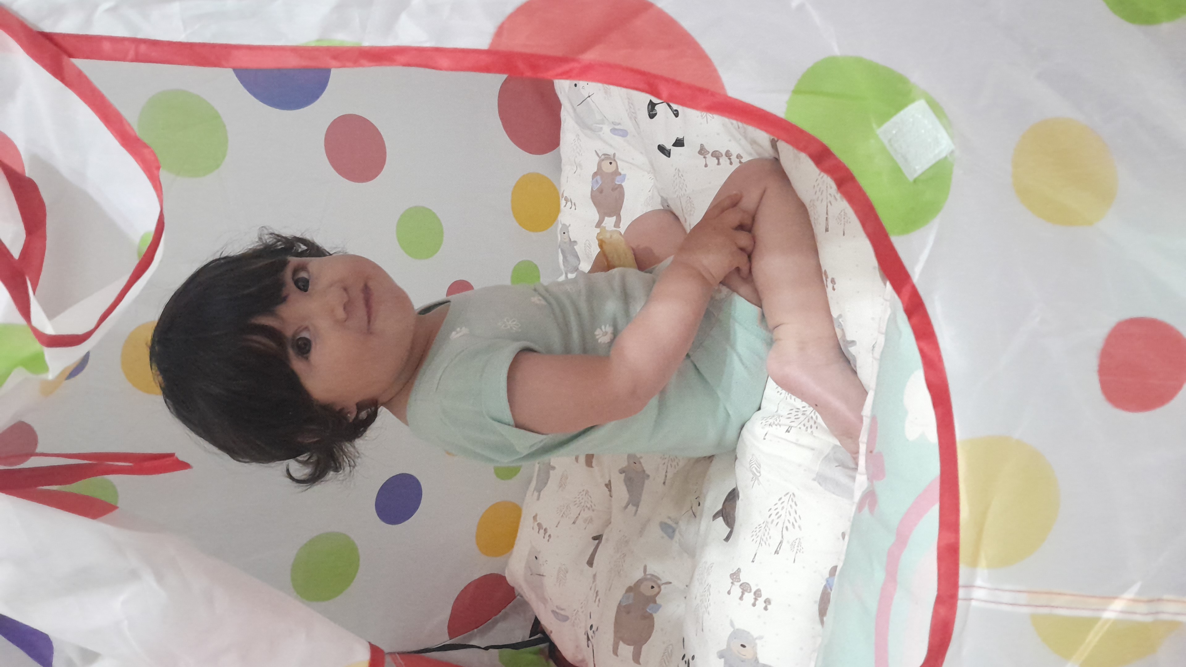 IMG-20251005-WA0018.jpeg