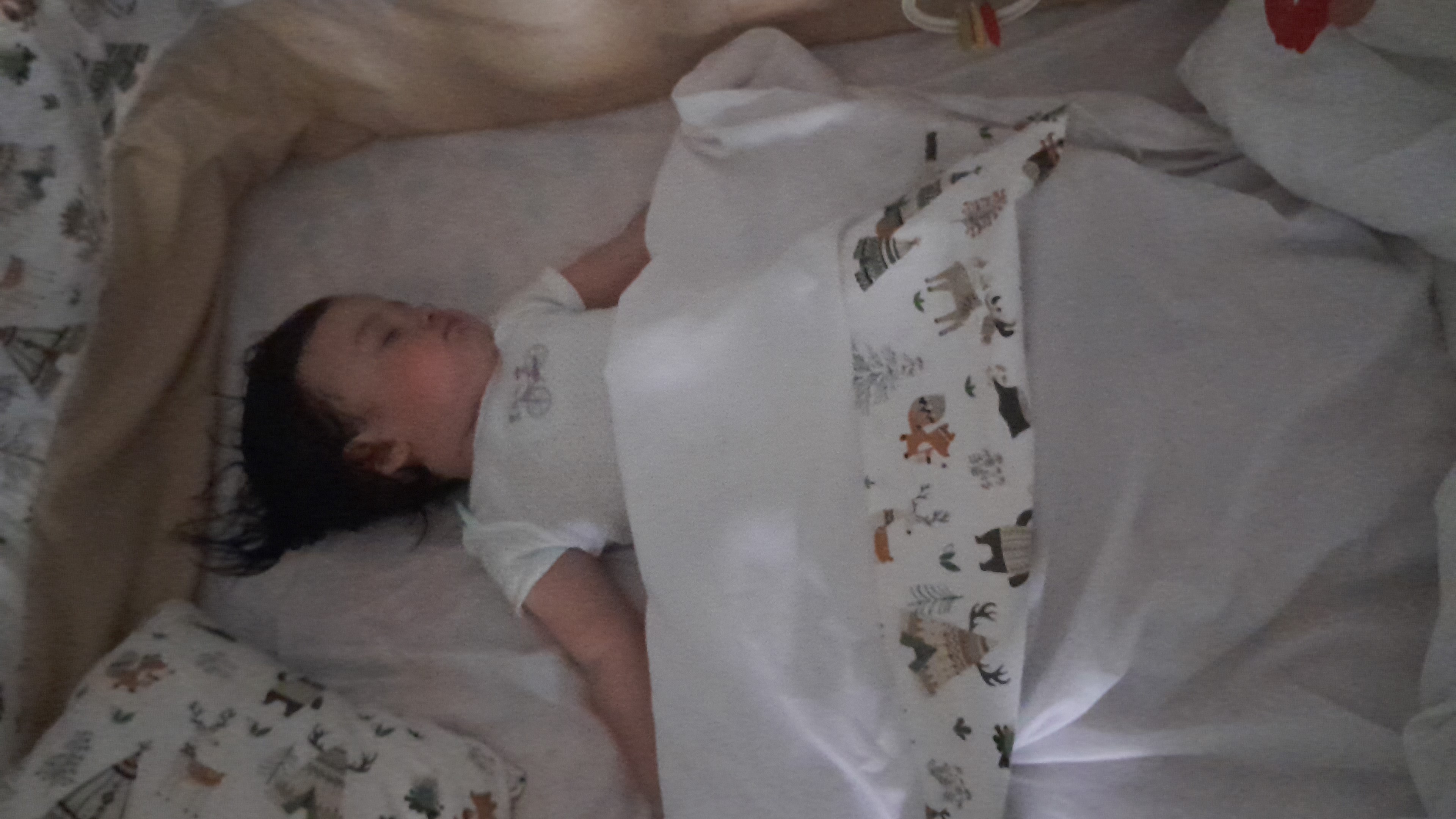 IMG-20251005-WA0047.jpeg