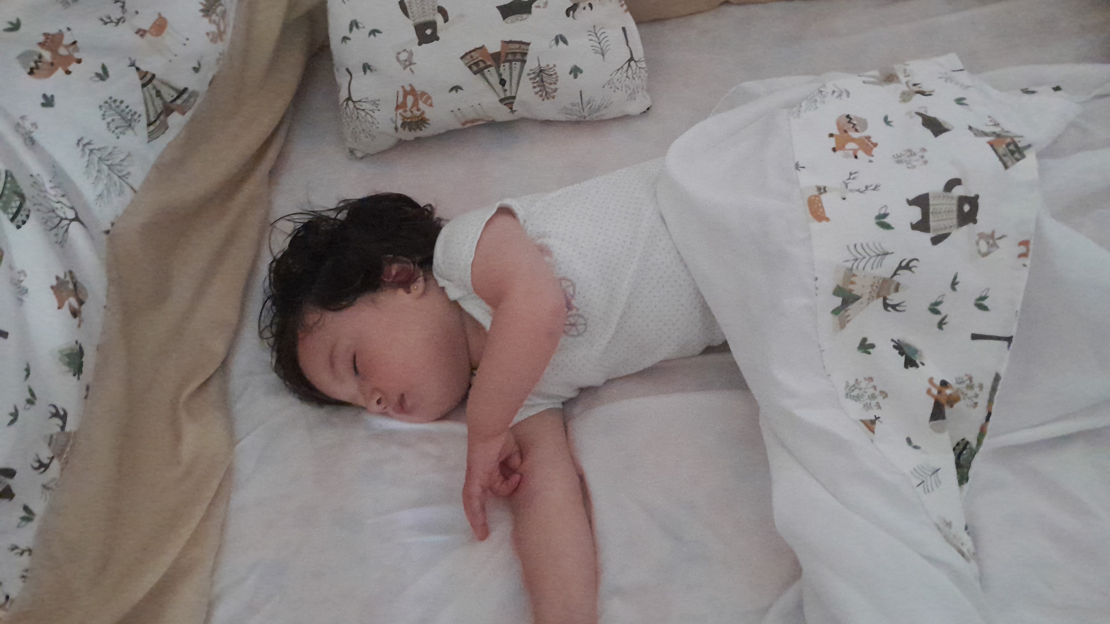 IMG-20251005-WA0071.jpeg