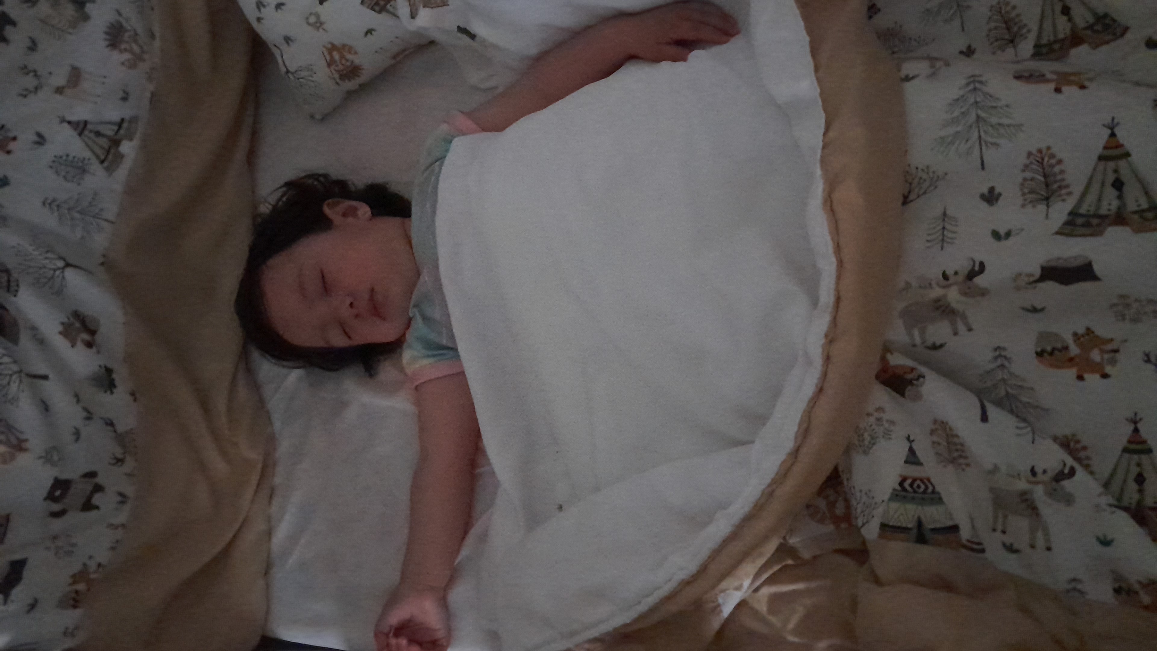IMG-20251006-WA0040.jpeg