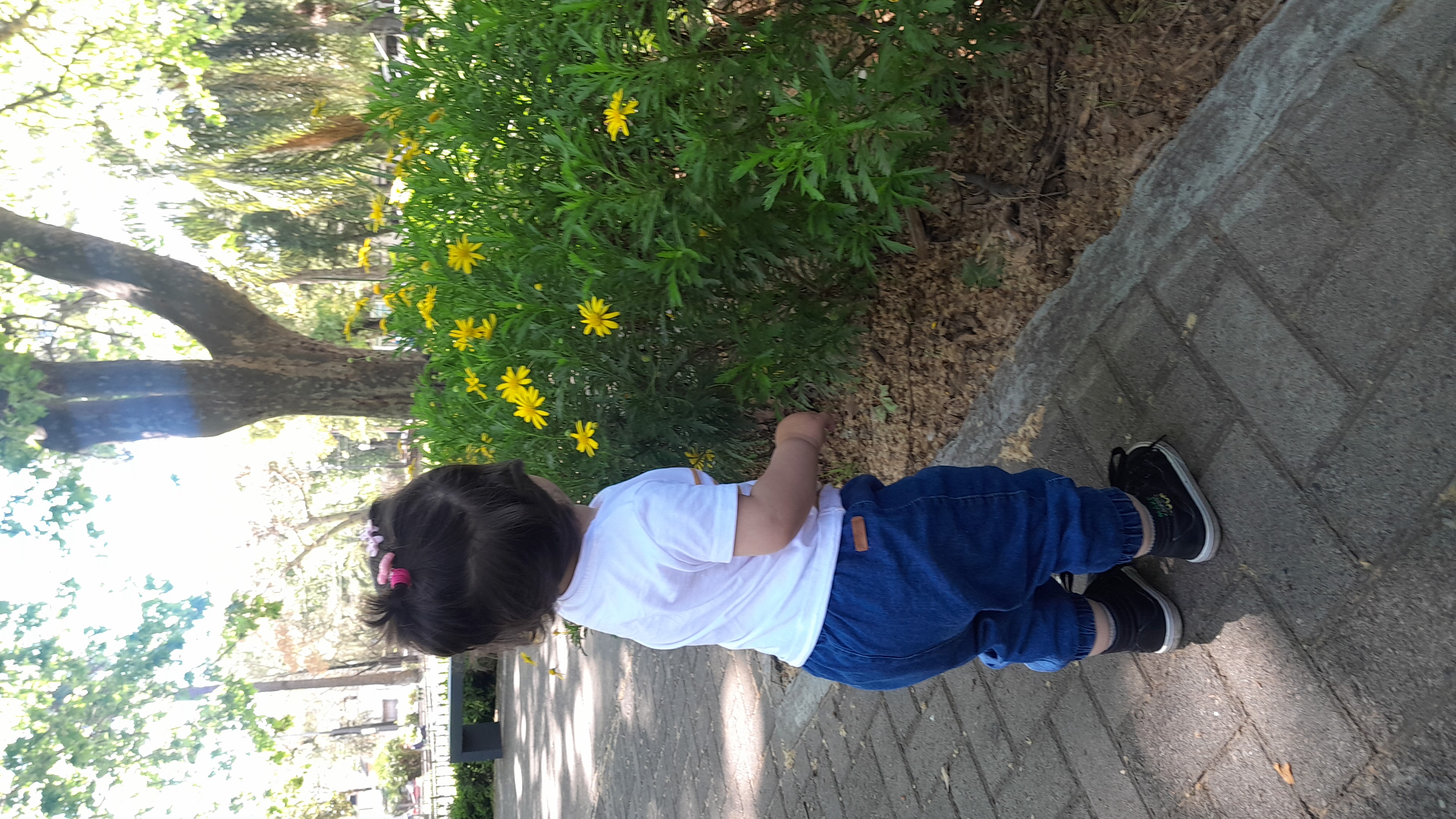 IMG-20251008-WA0005.jpeg