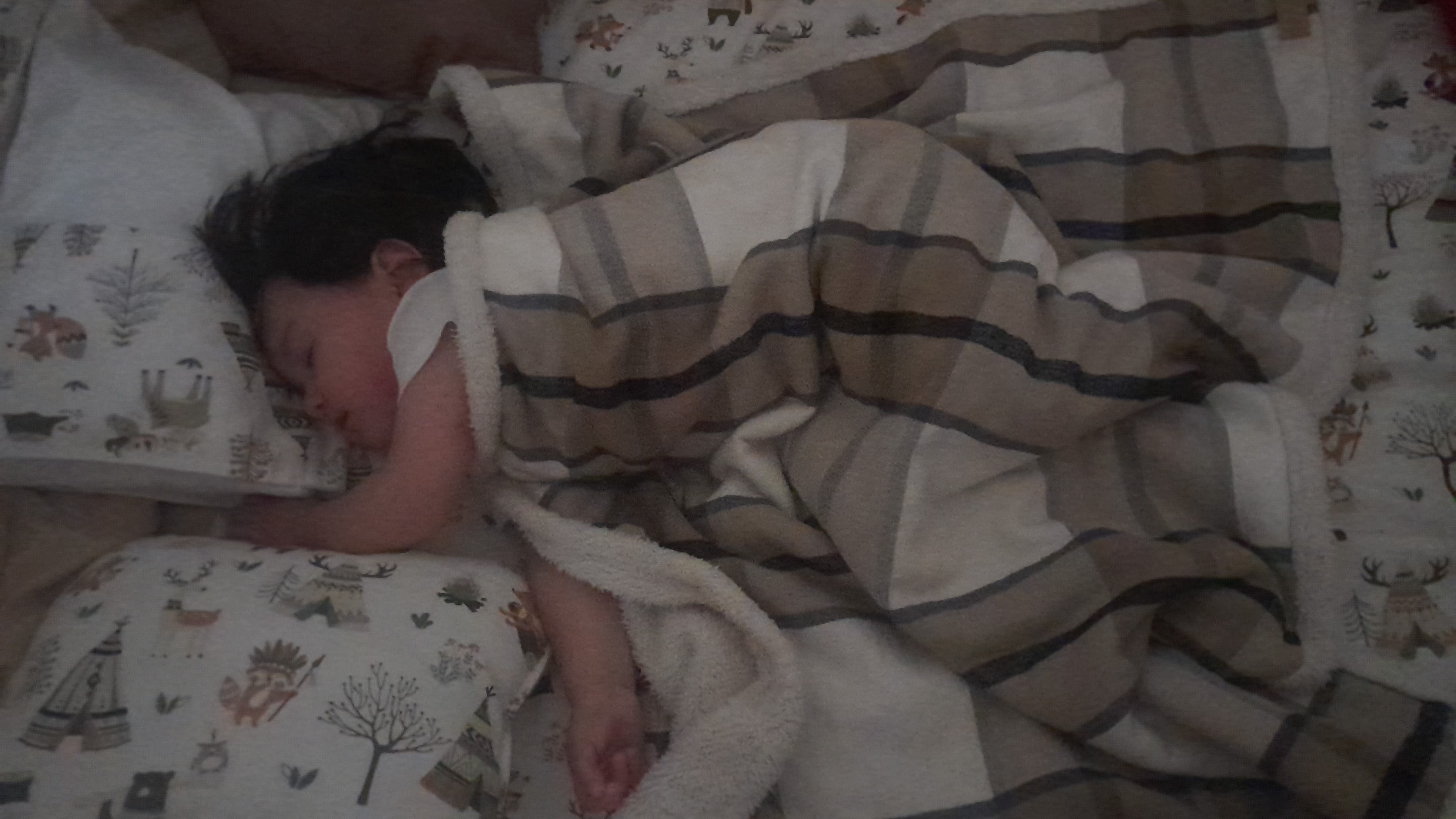 IMG-20251008-WA0034.jpeg