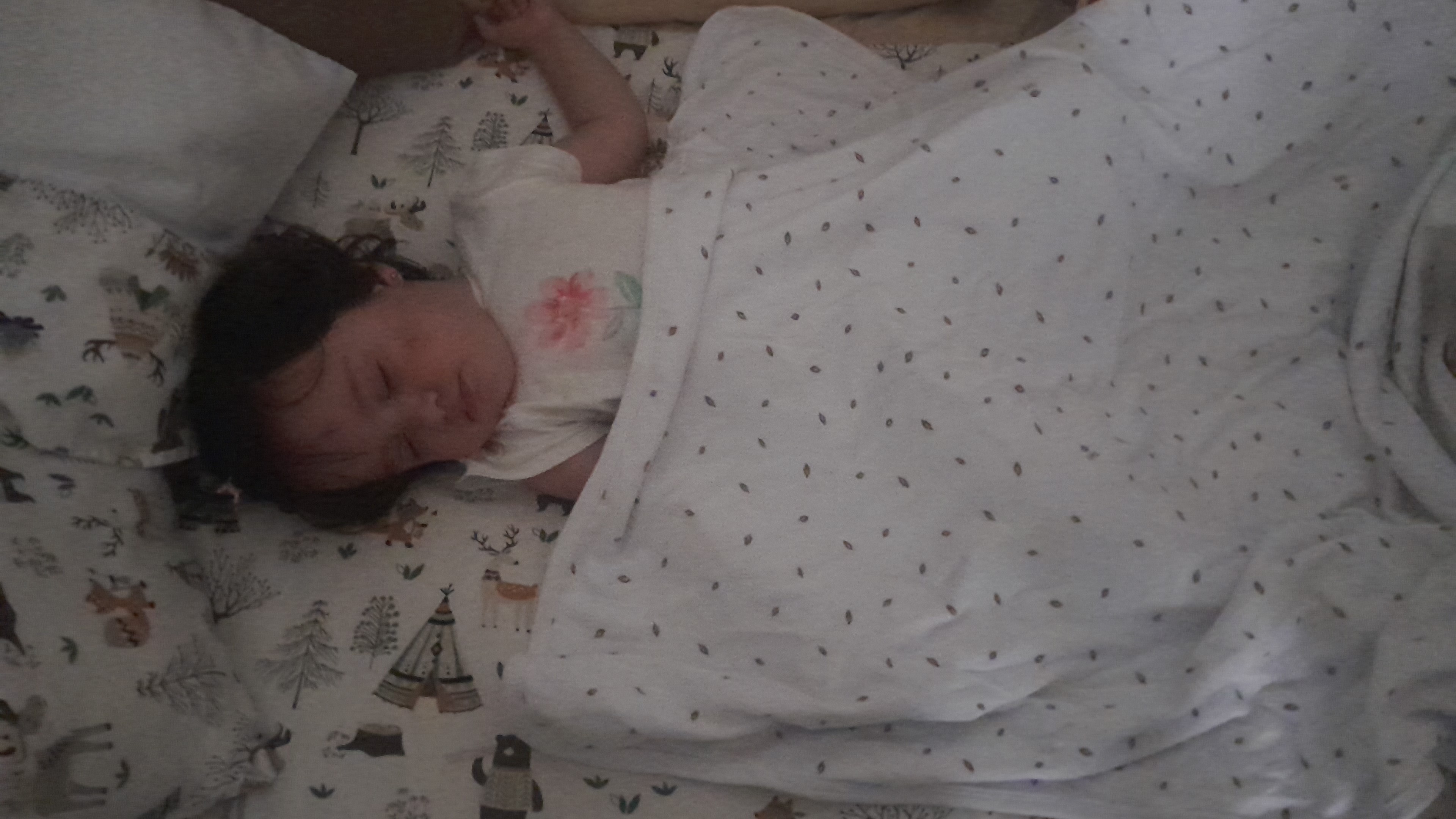 IMG-20251015-WA0026.jpeg