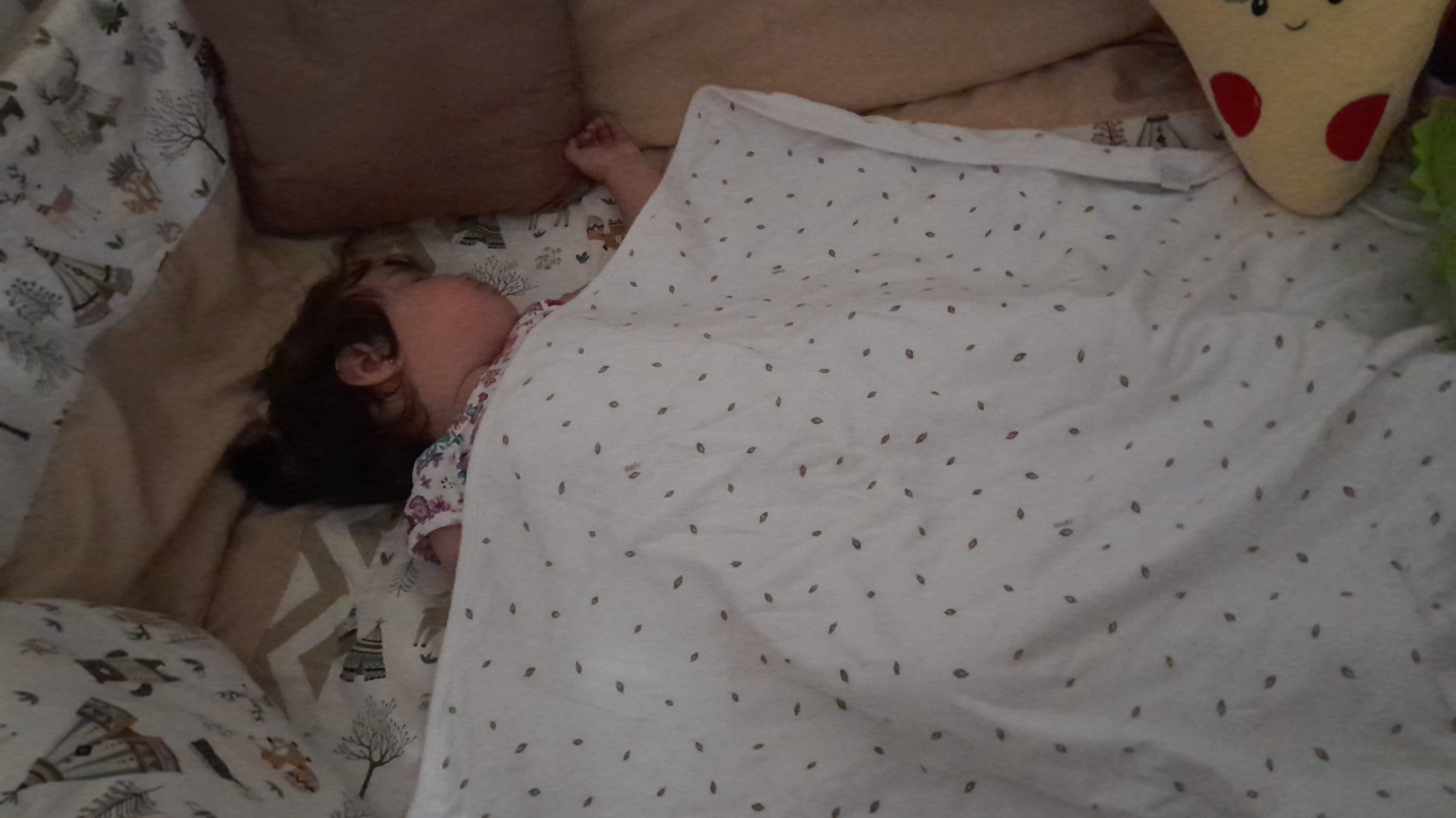 IMG-20251016-WA0035.jpeg