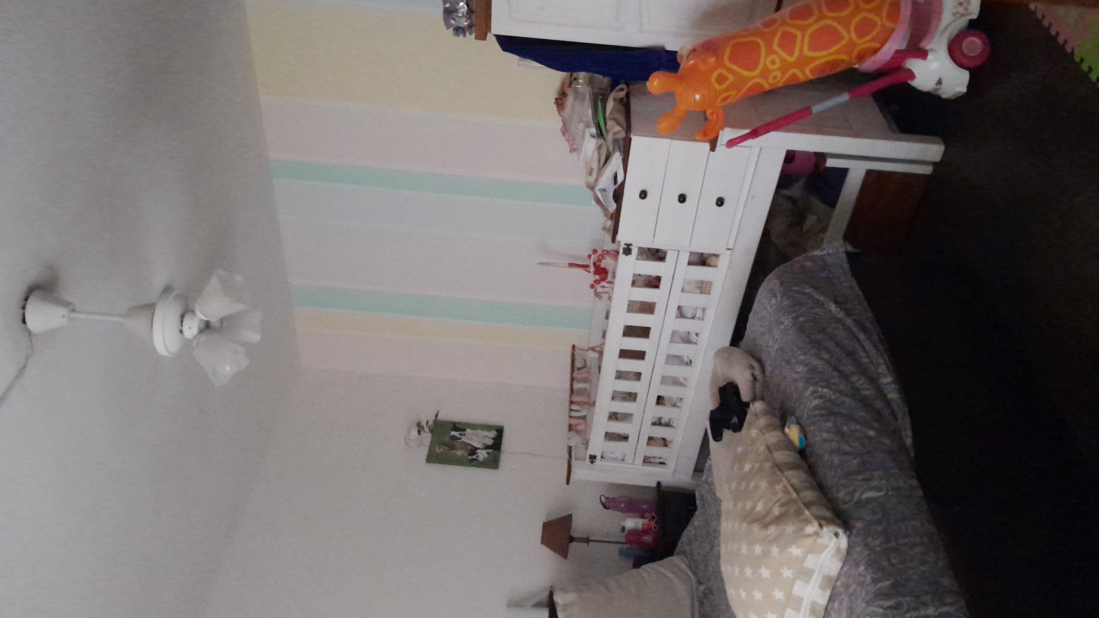IMG-20251016-WA0037.jpeg