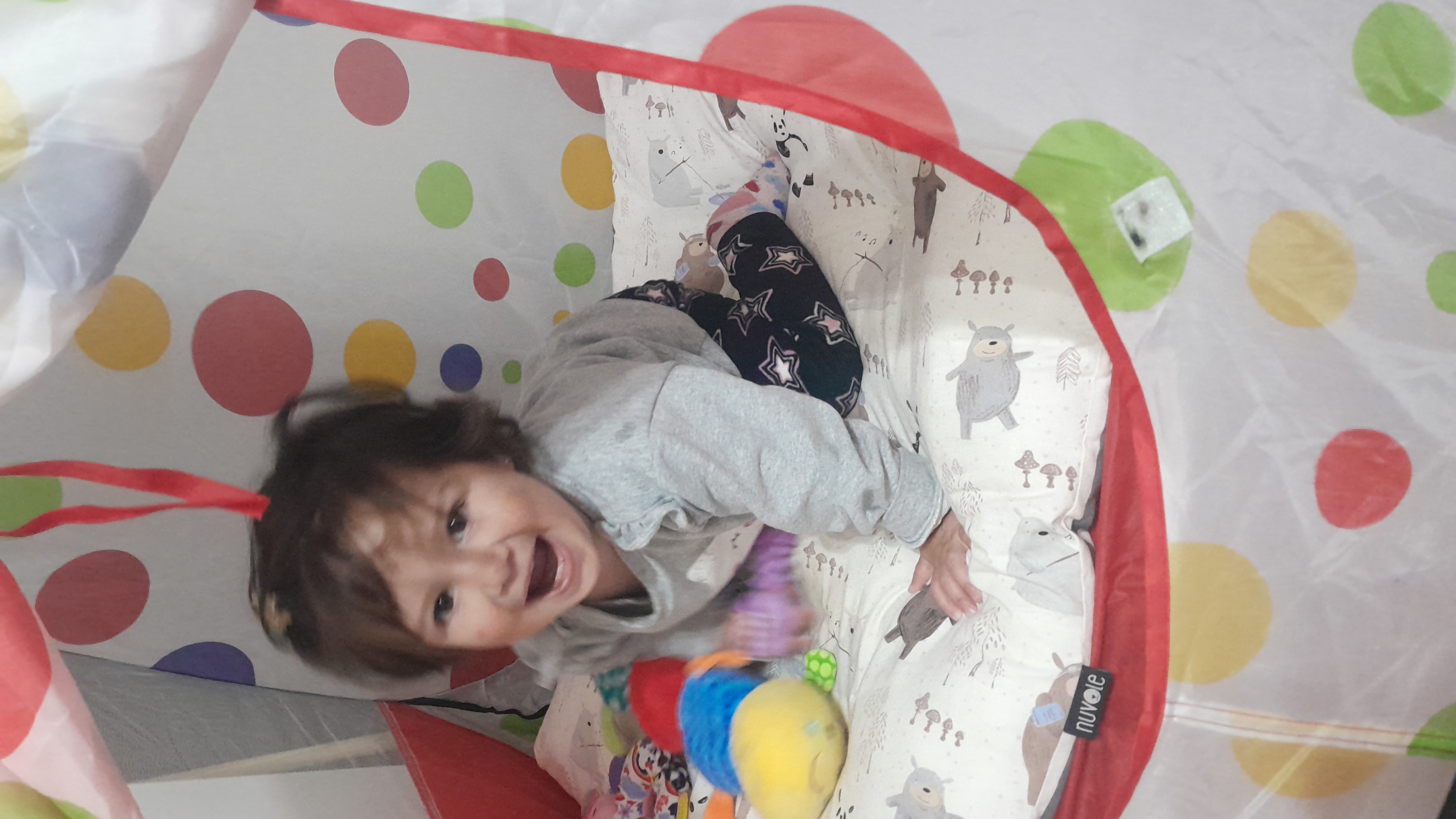 IMG-20251020-WA0038.jpeg