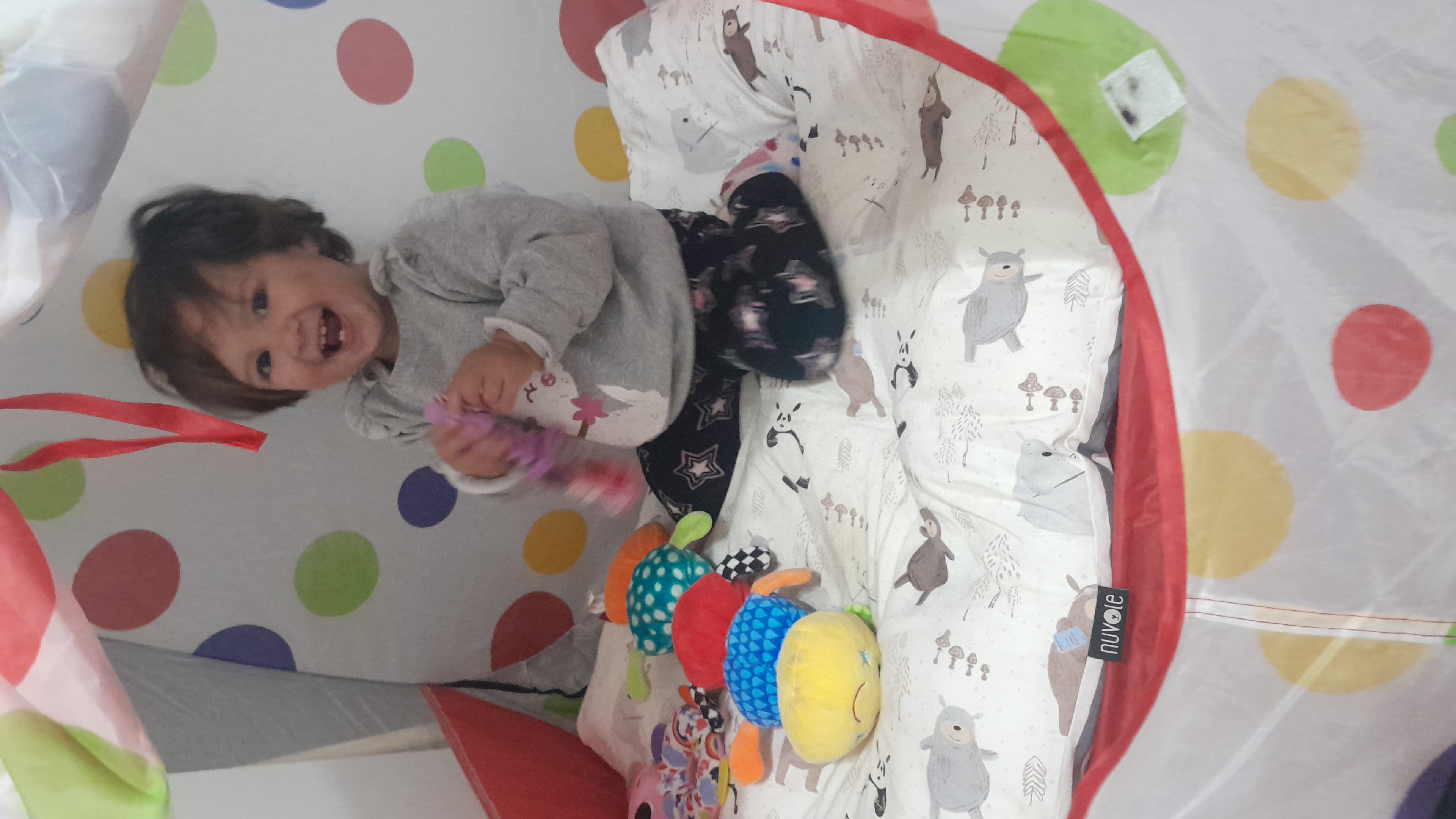 IMG-20251020-WA0040.jpeg
