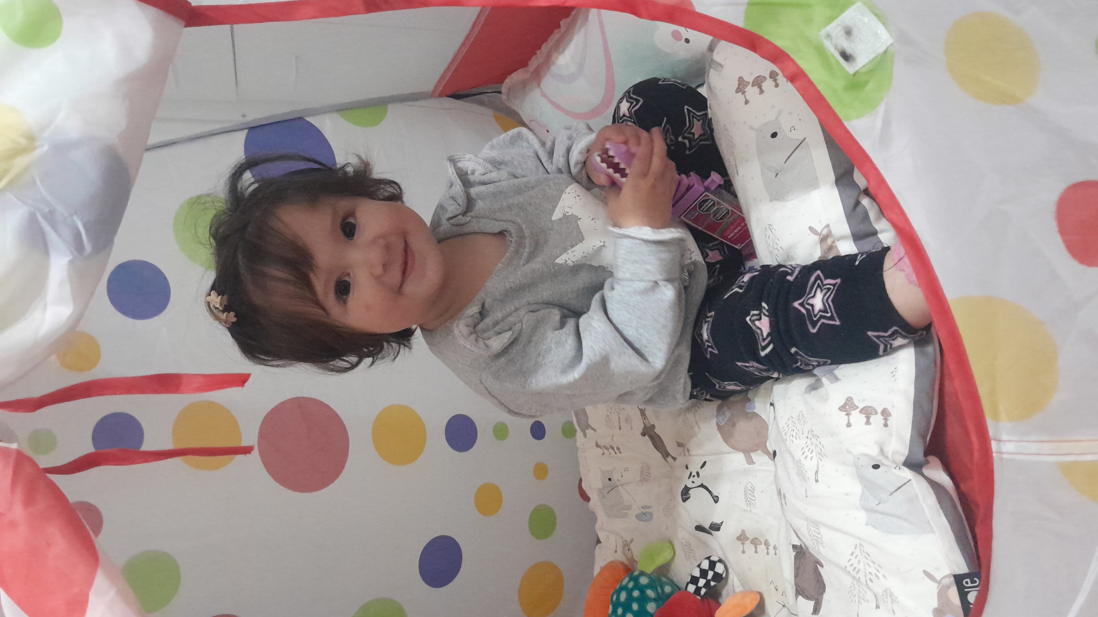 IMG-20251020-WA0043.jpeg