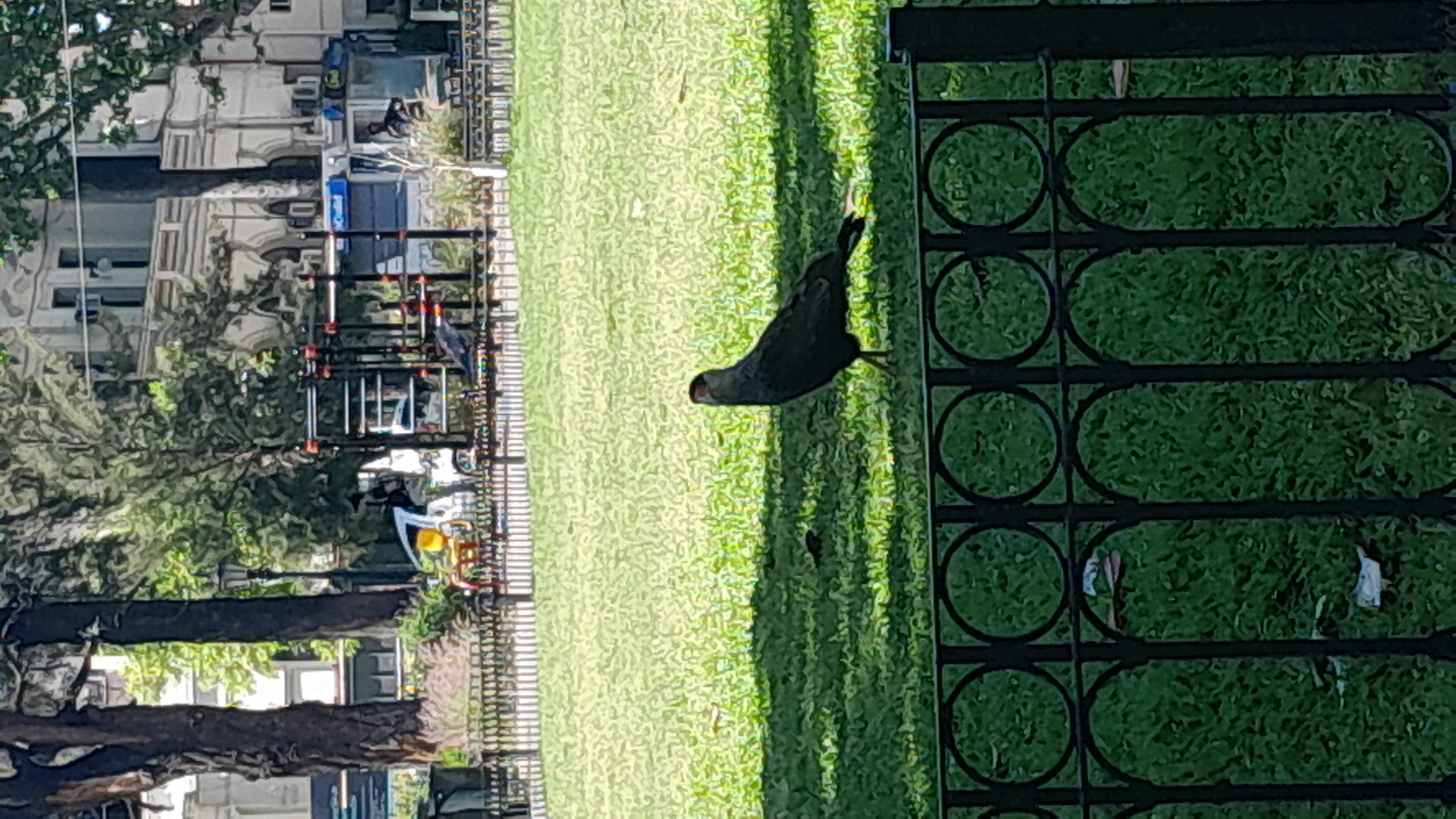 IMG-20251021-WA0006.jpeg