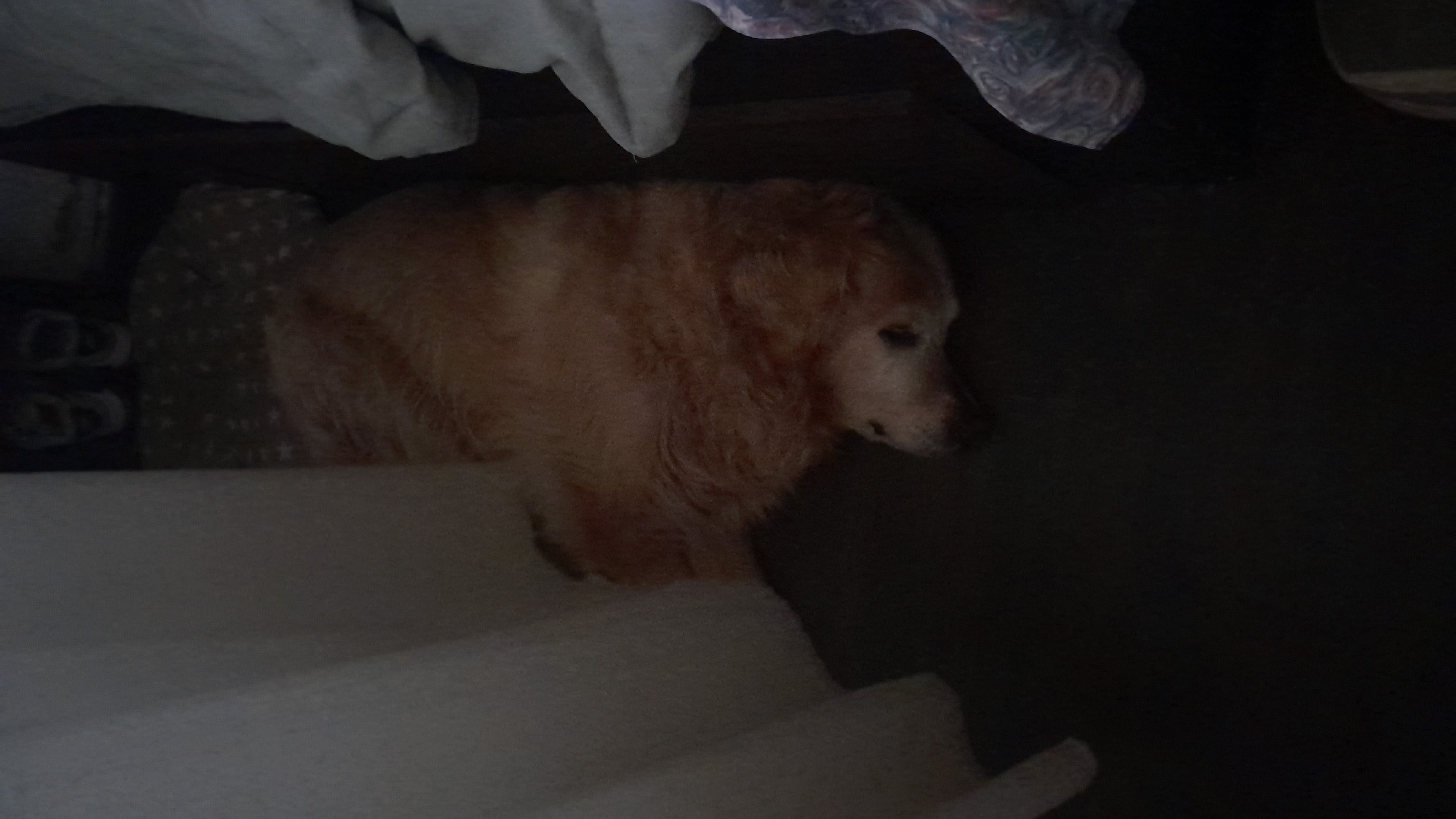 IMG-20251022-WA0004.jpeg