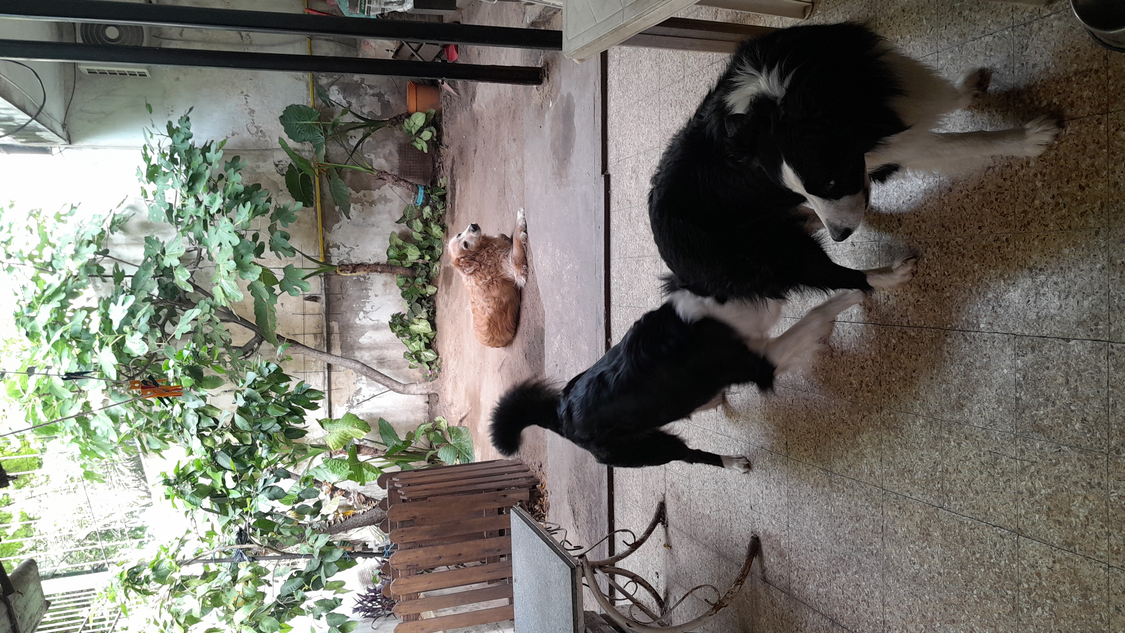 IMG-20251023-WA0074.jpeg