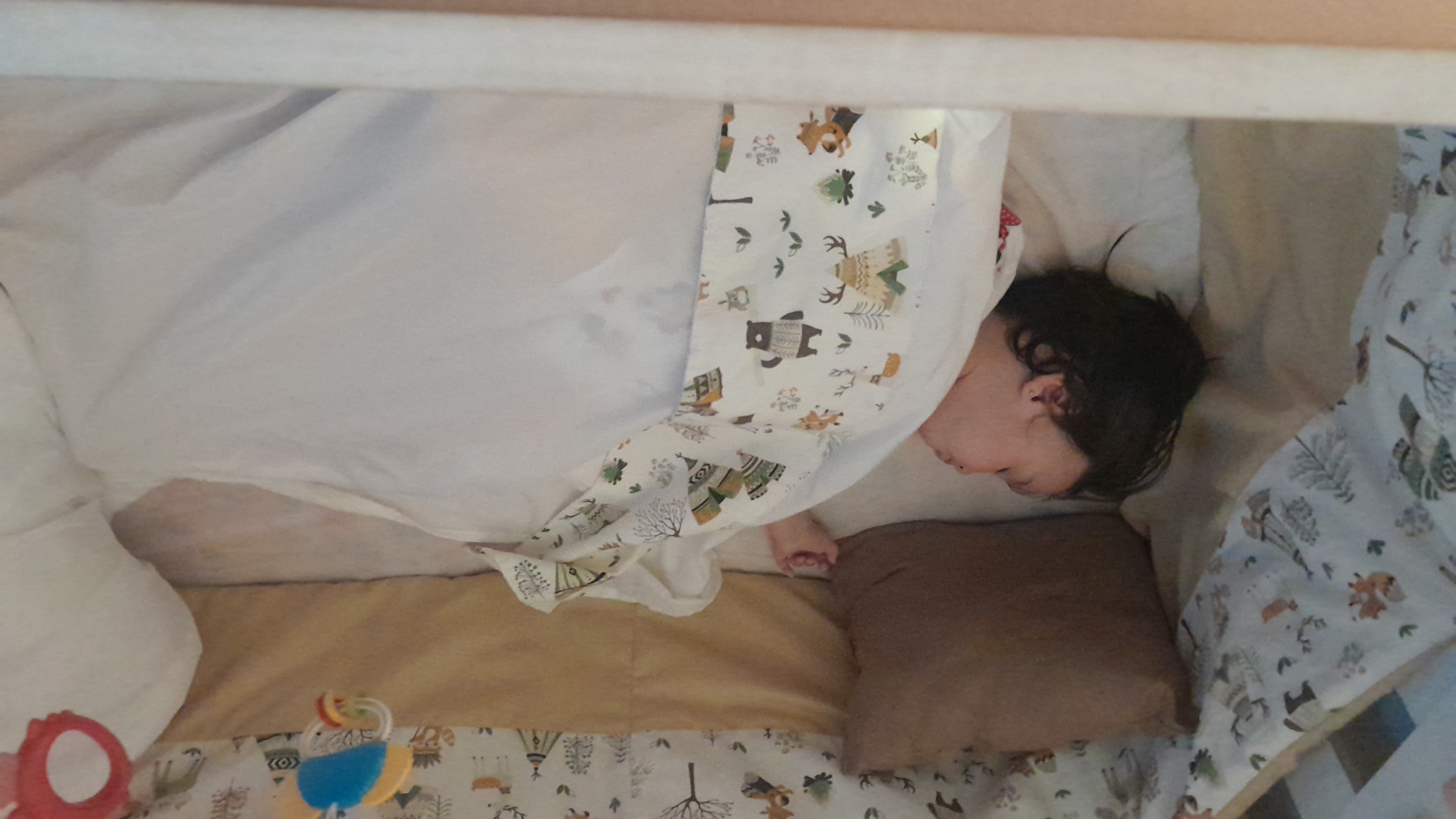IMG-20251024-WA0024.jpeg